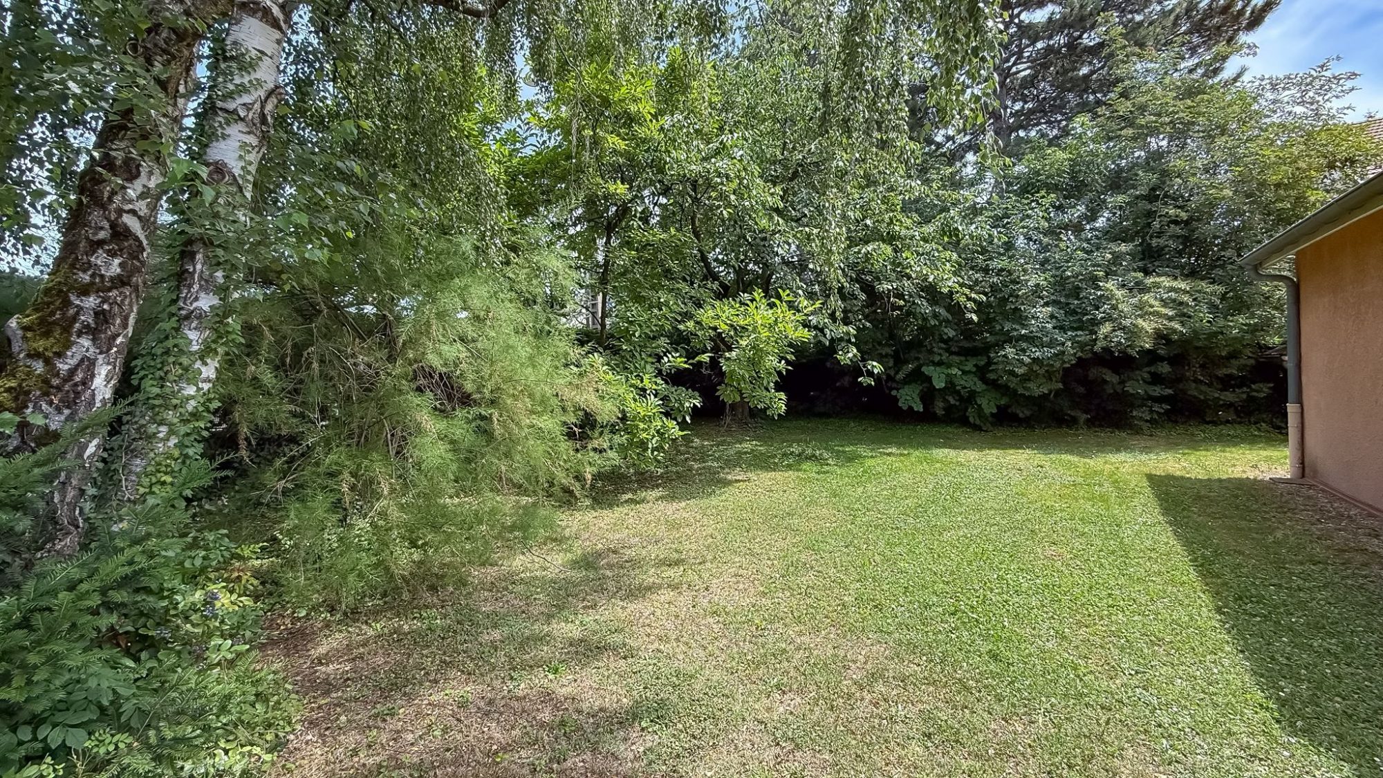 Maison 5 chambres/grand jardin et   garage Fontaines-sur-Saône 69270