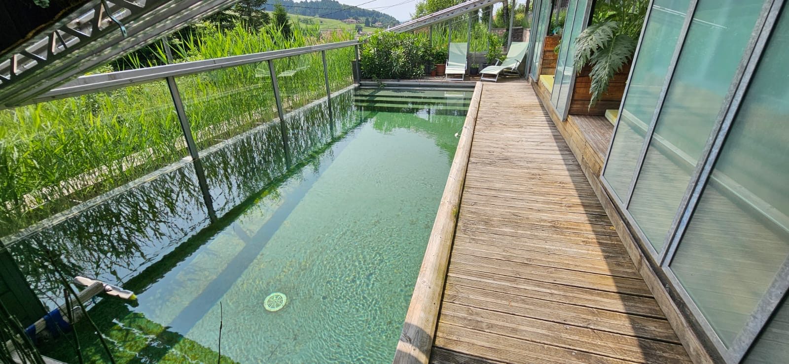 MAISON AVEC TERRAIN, PISCINE et DEPENDANCES Amplepuis 69550