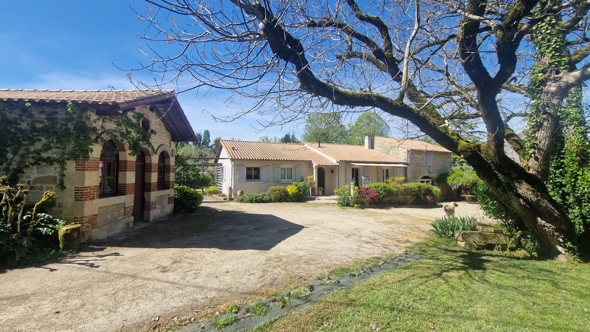 Maison - 7 pièces - 242 m² - Vouillé (79230)