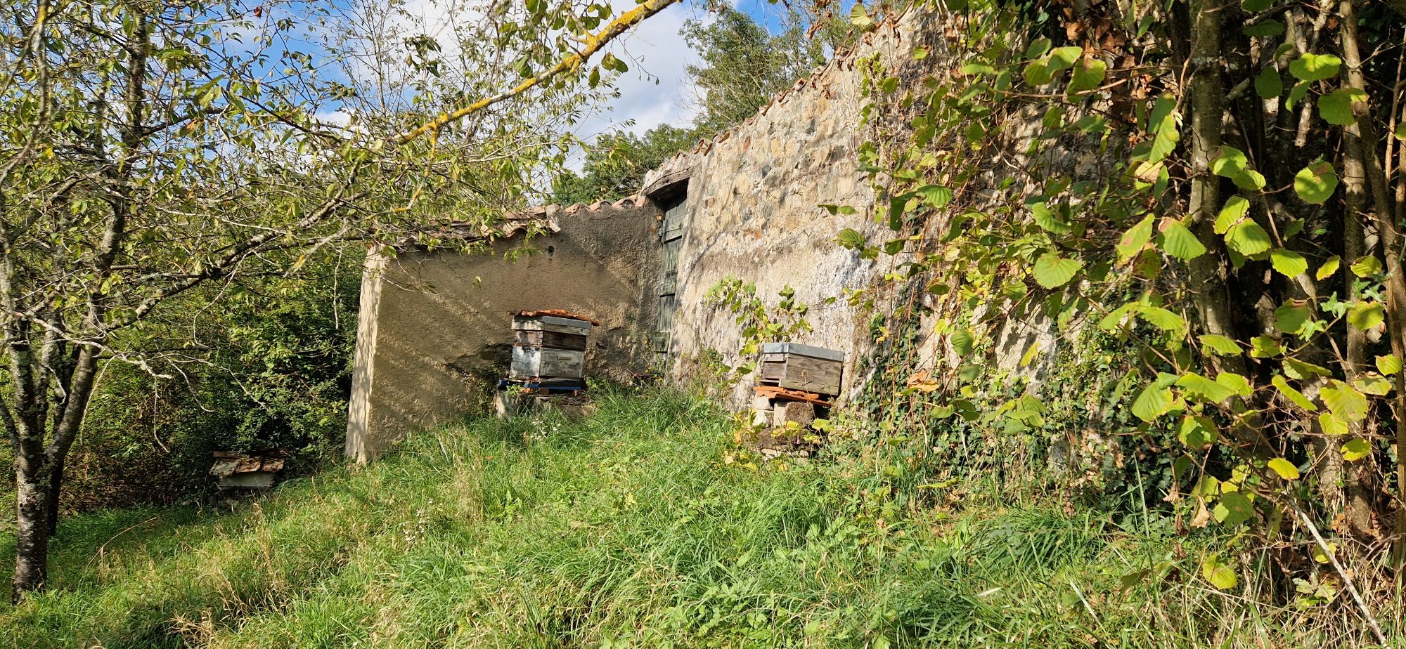 2 MAISONS environ 75m² ET 57m² + combles, caves, garage Vindry-sur-Turdine 69490