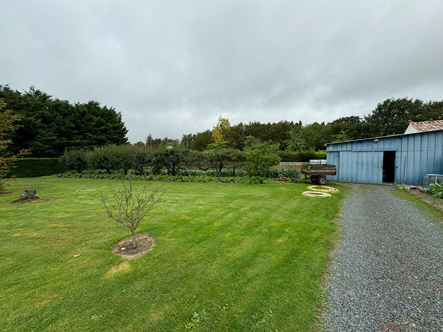 Terrain Apremont 954 m2 APREMONT 85220