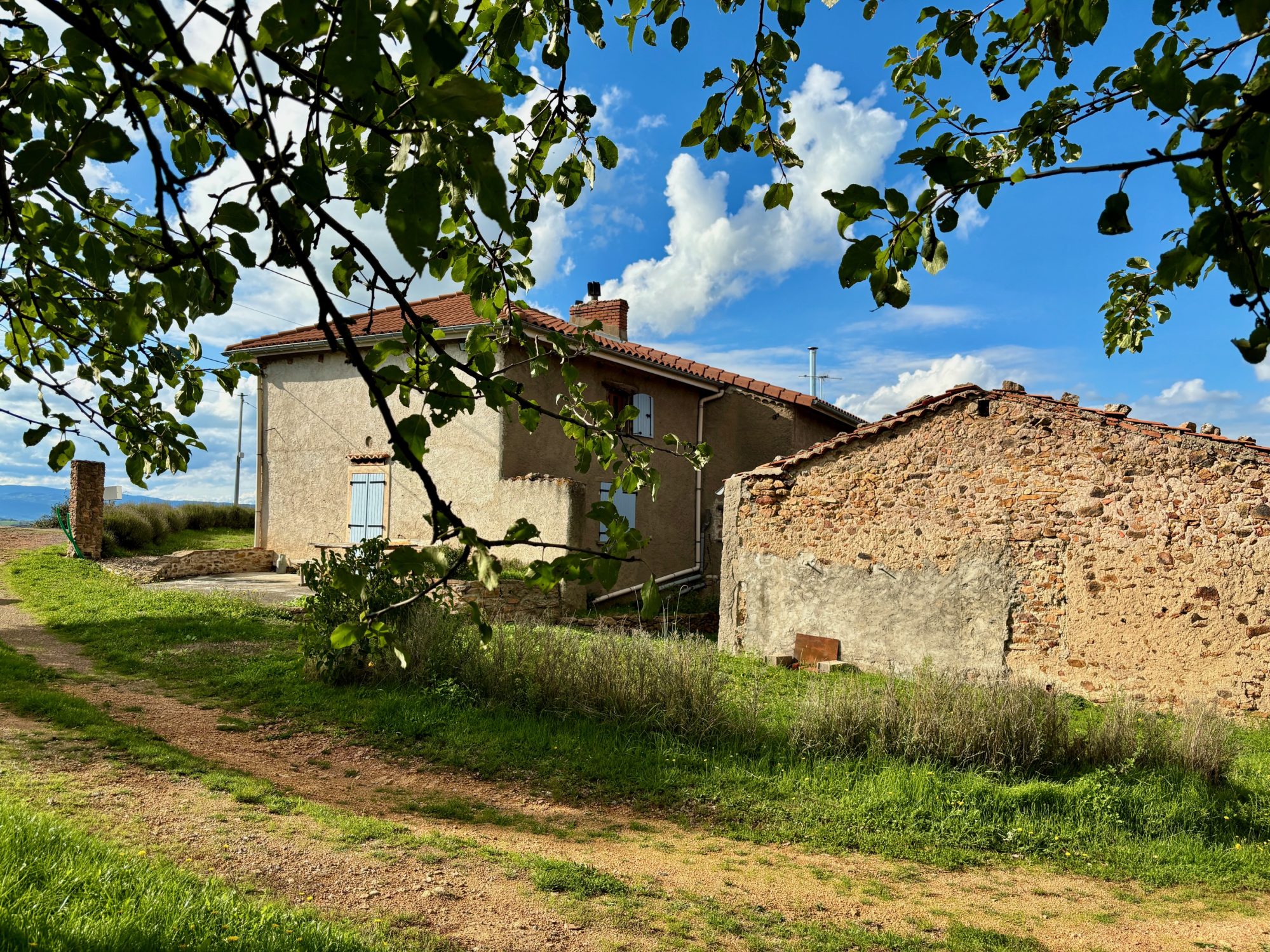 CORPS DE FERME - GRAND TERRAIN - DÉPENDANCES
