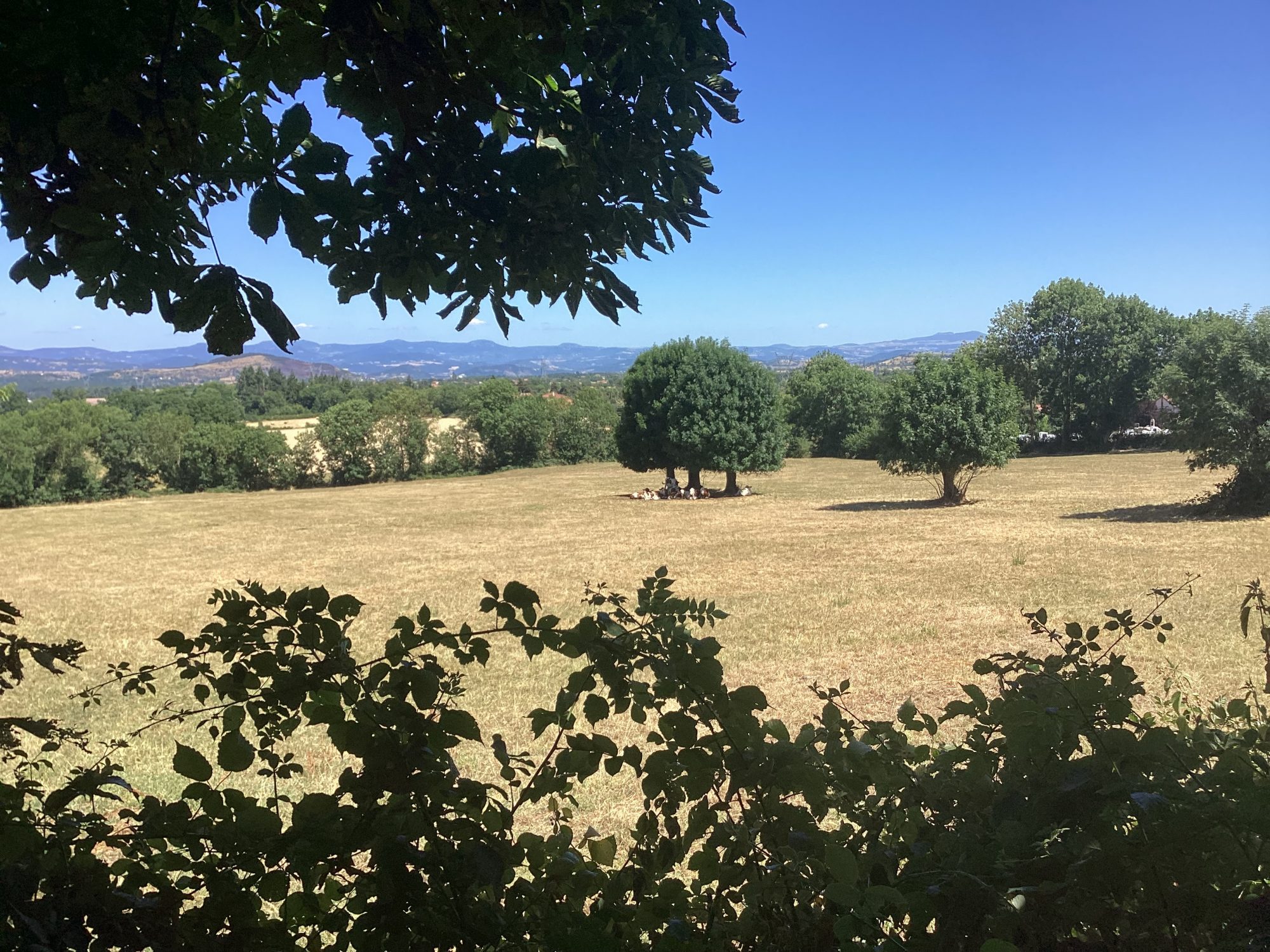 Maison - 5 pièces - 88 m² - Sanssac-l'Église (43320)