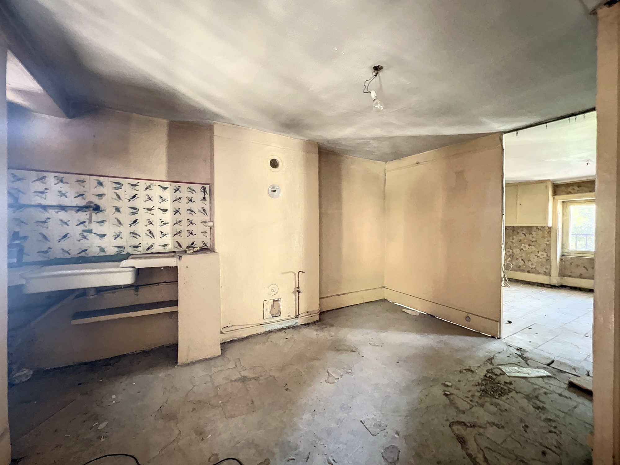 IDEAL INVESTISSEURS OU GRANDE FAMILLE  - PROCHE DES COMMODITES Tarare 69170