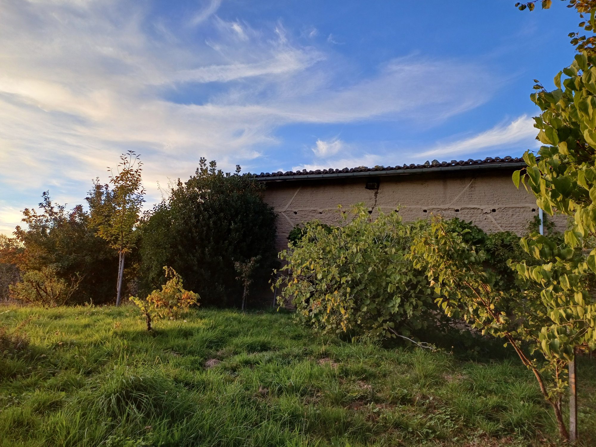 Grange à réhabiliter + 1 hectare de terrain