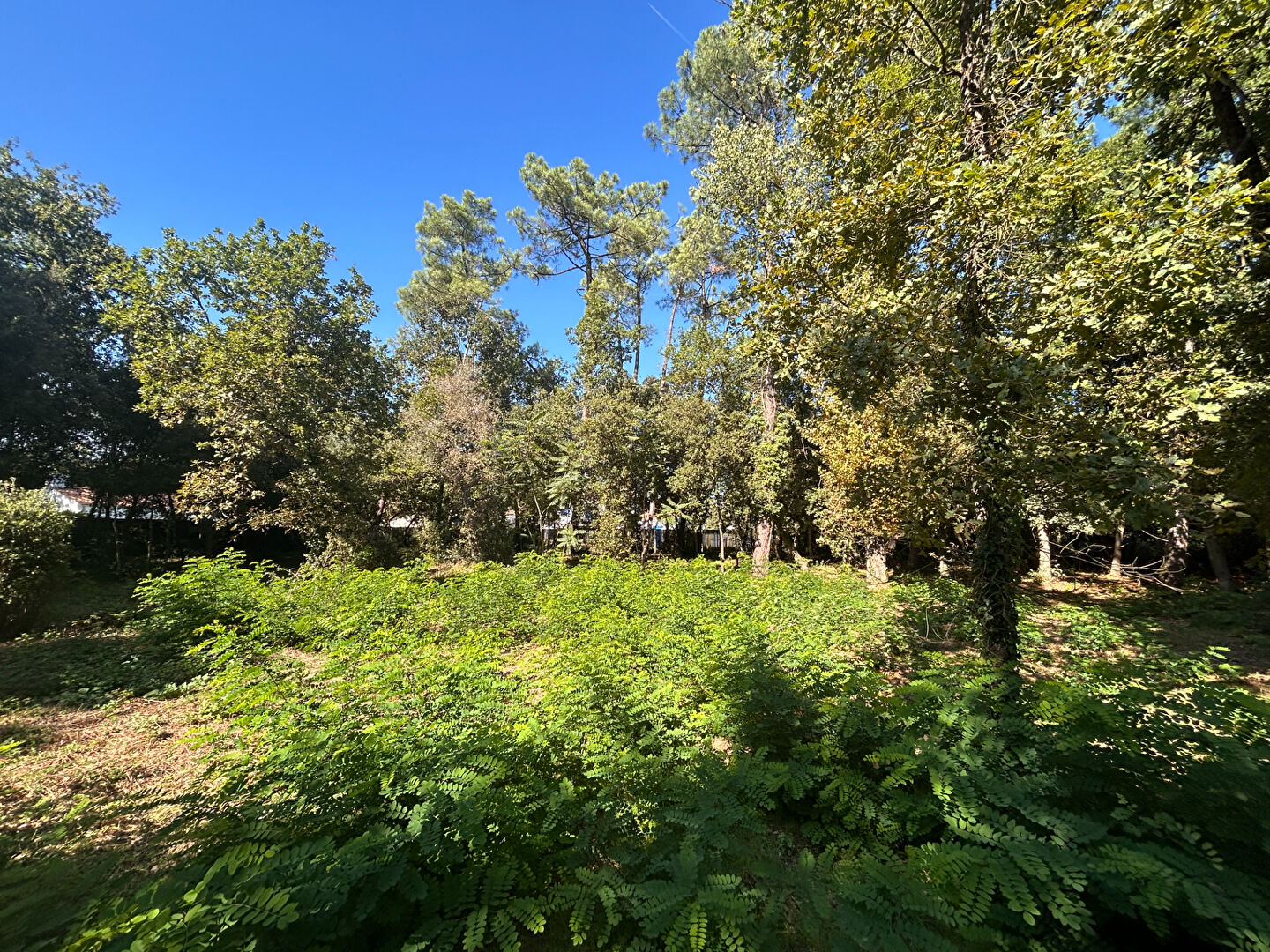 Terrain Saint Hilaire De Riez 841 m2 SAINT HILAIRE DE RIEZ 85270