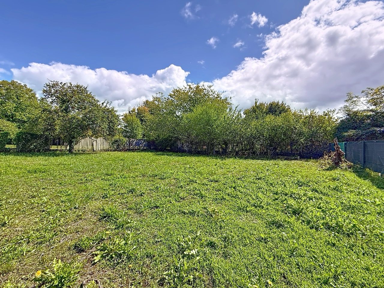 TERRAIN Constructible 5 MIN BEAUNE Vignoles 21200