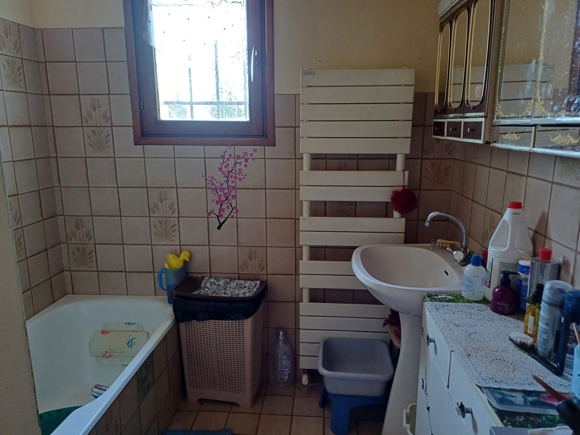 Maison - 8 pièces - 147 m² - Le Chambon-sur-Lignon (43400)