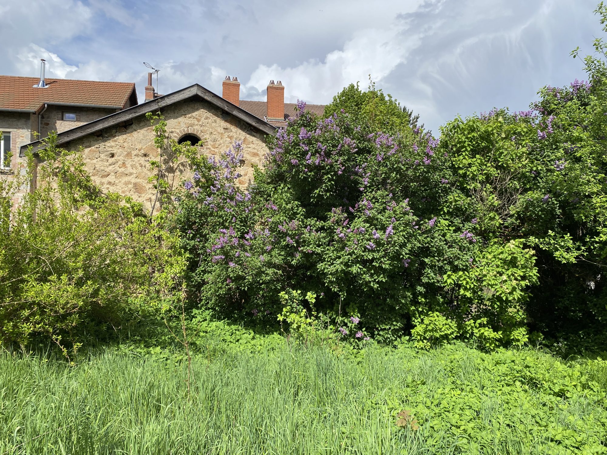 Maison - 10 pièces - 255 m² - Dunières (43220)