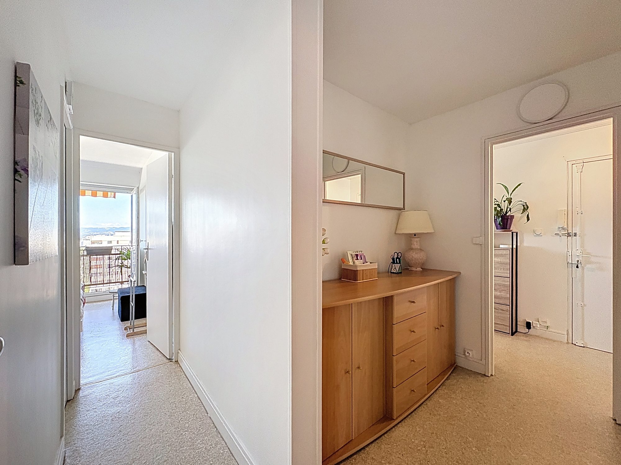 Appartement avec vue panoramique climatisé Rillieux-la-Pape 69140