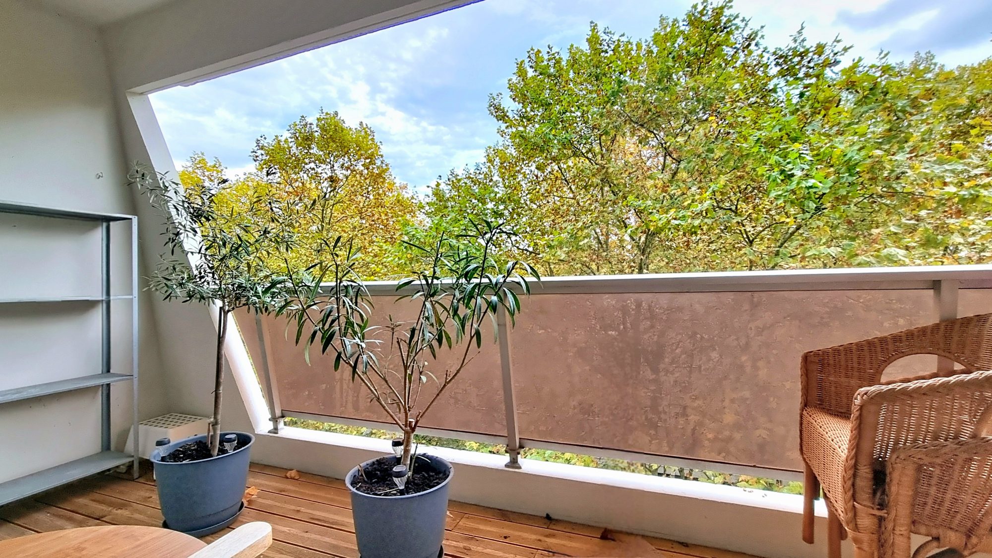 DOUA / TETE D'OR - Appartement T3 traversant de 75 m² avec terrasse
