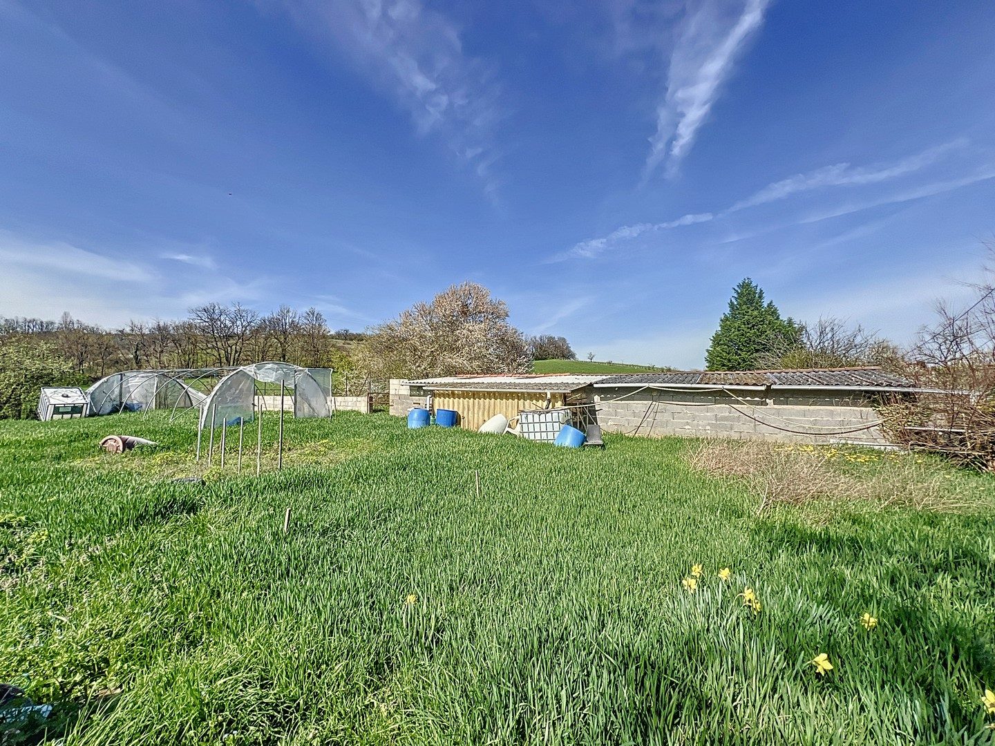 PROPRIETE DE 2 MAISONS - GRAND GARAGE 137 M² - TERRAIN 1,8 HECTARES - DEPENDANCES Sain-Bel 69210