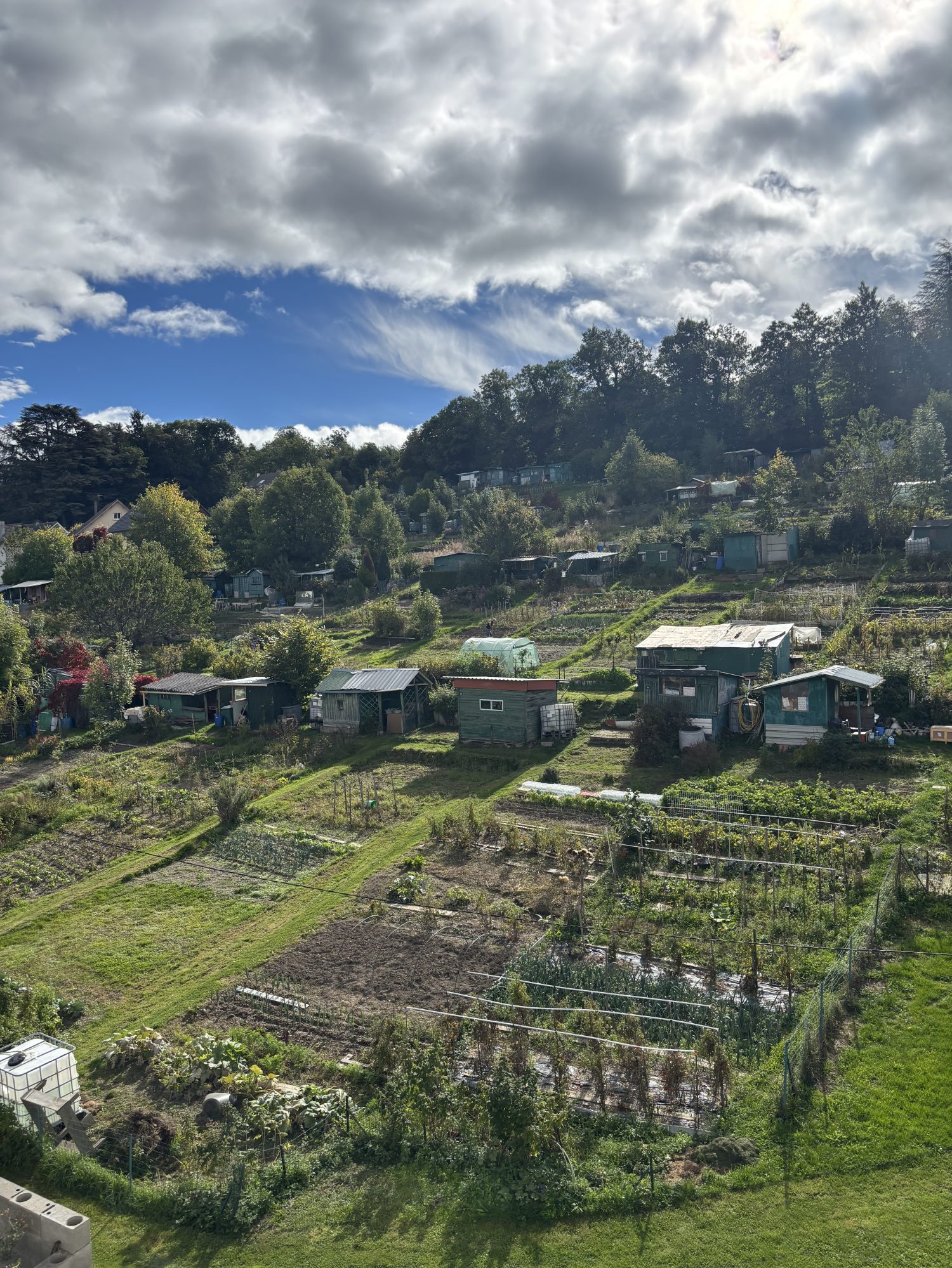 Appartement - 2 pièces - 48 m² - Saint-Étienne (42000)