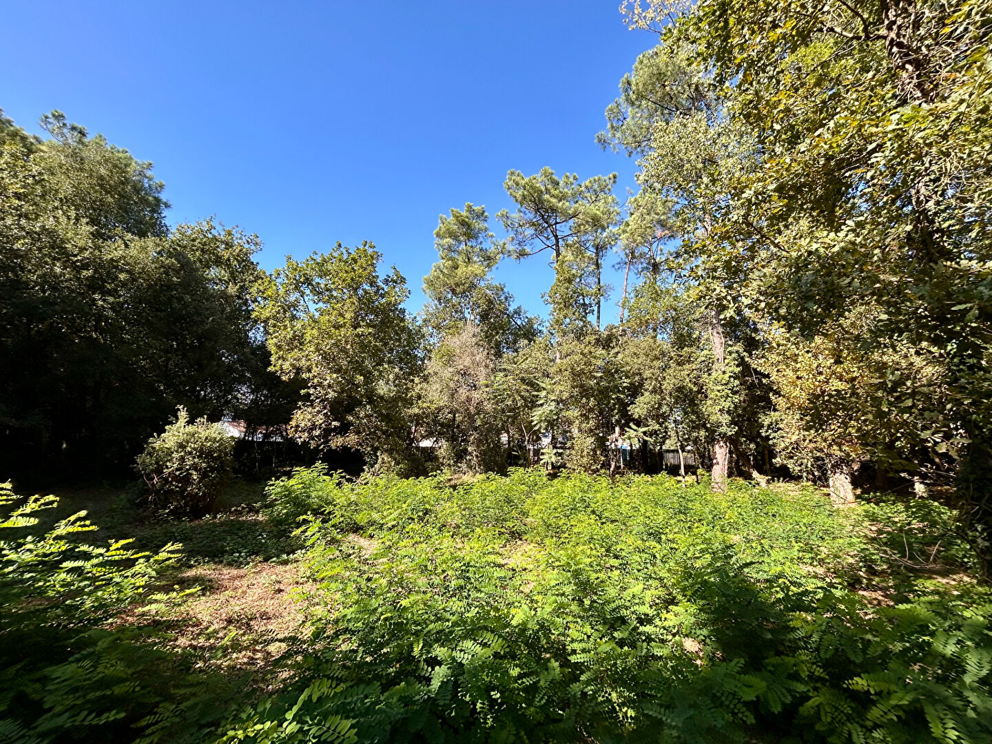 Terrain Saint Hilaire De Riez 668 m2 SAINT HILAIRE DE RIEZ 85270