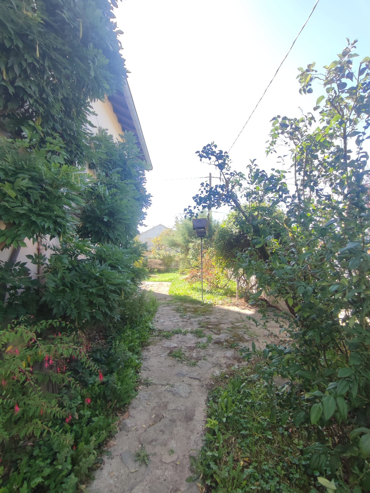 Maison - 7 pièces - 170 m² - Ambert (63600)