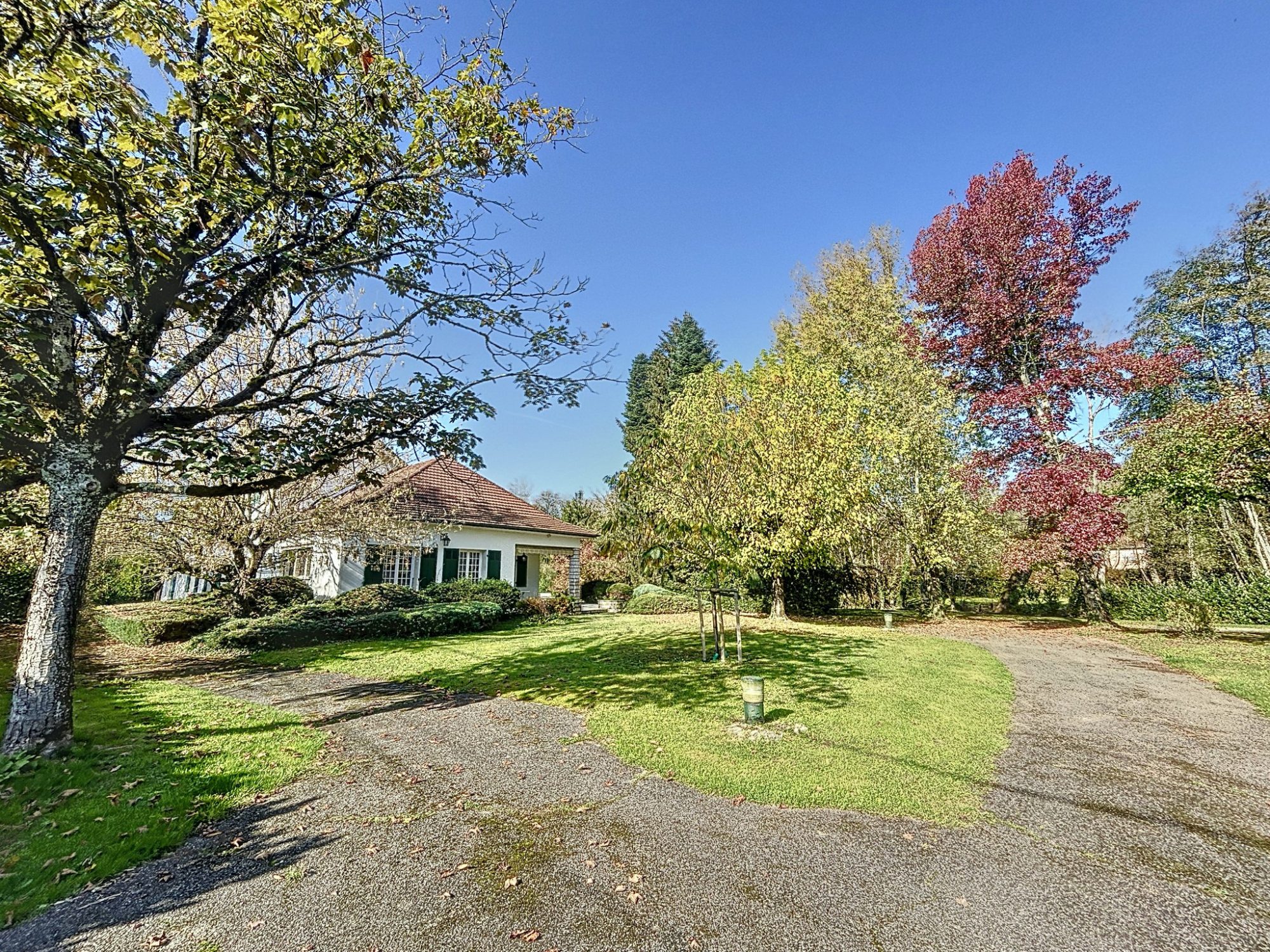 Maison 252 m2 - Terrain 18886 m2 - MORESTEL centre