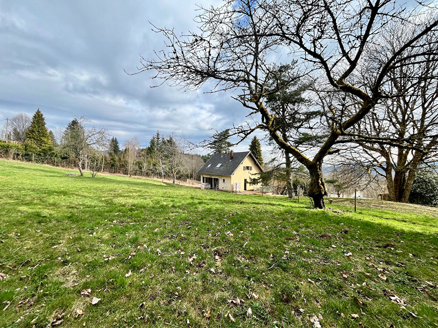Freconrupt maison 4 pièces 100 m²