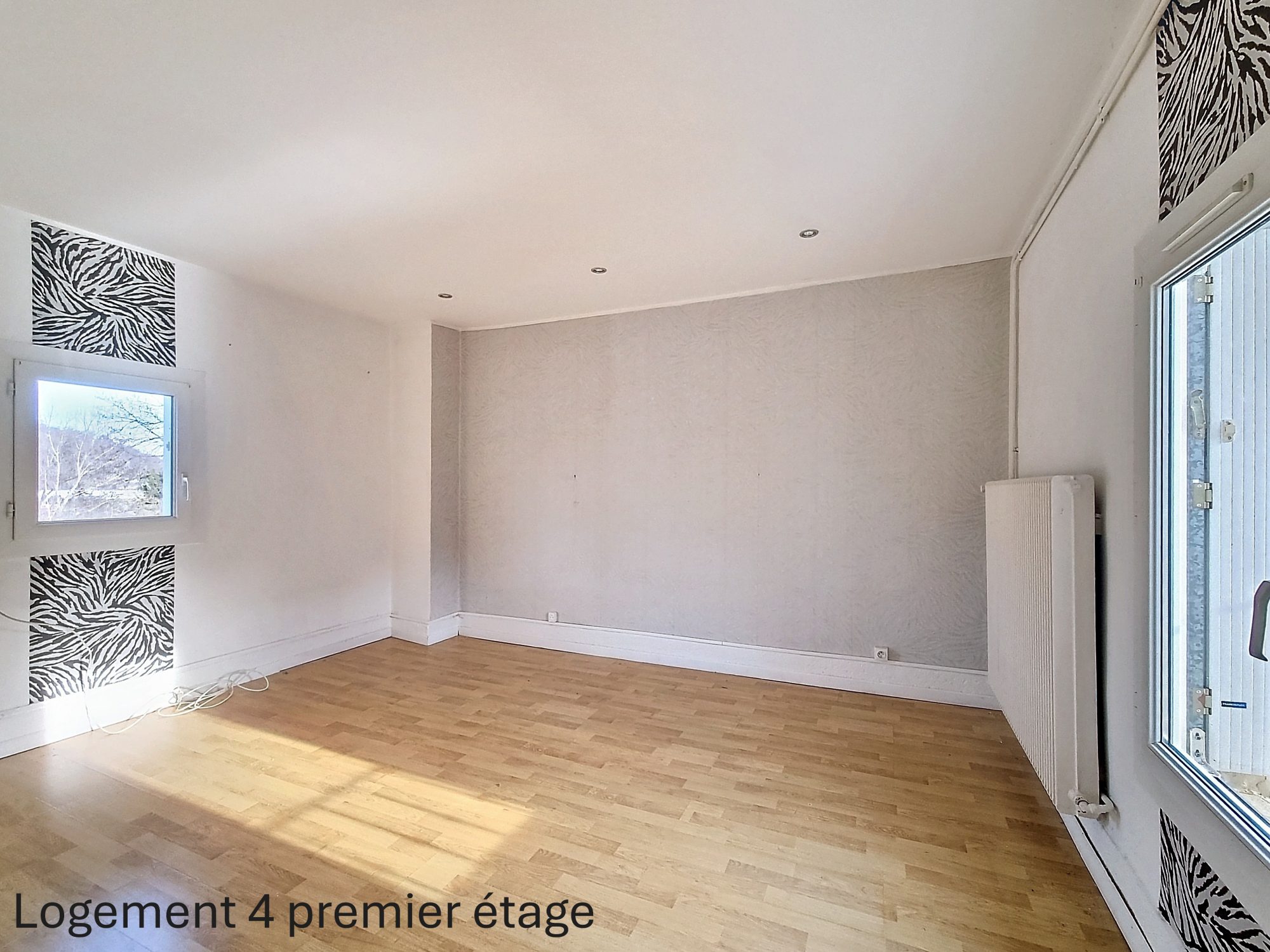 tènement de 5 logements Fraisses 42490