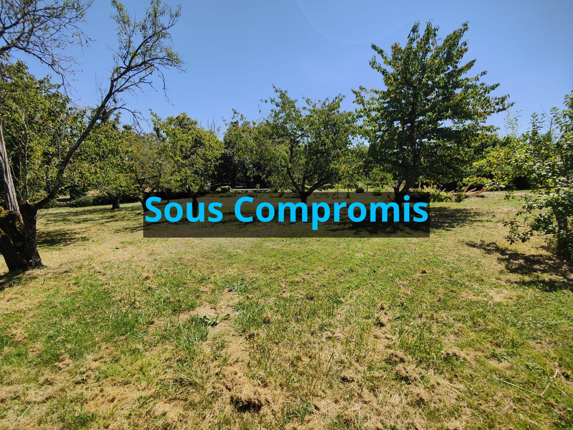 TERRAIN CONSTRUCTIBLE ARBORE ET DIVISIBLE