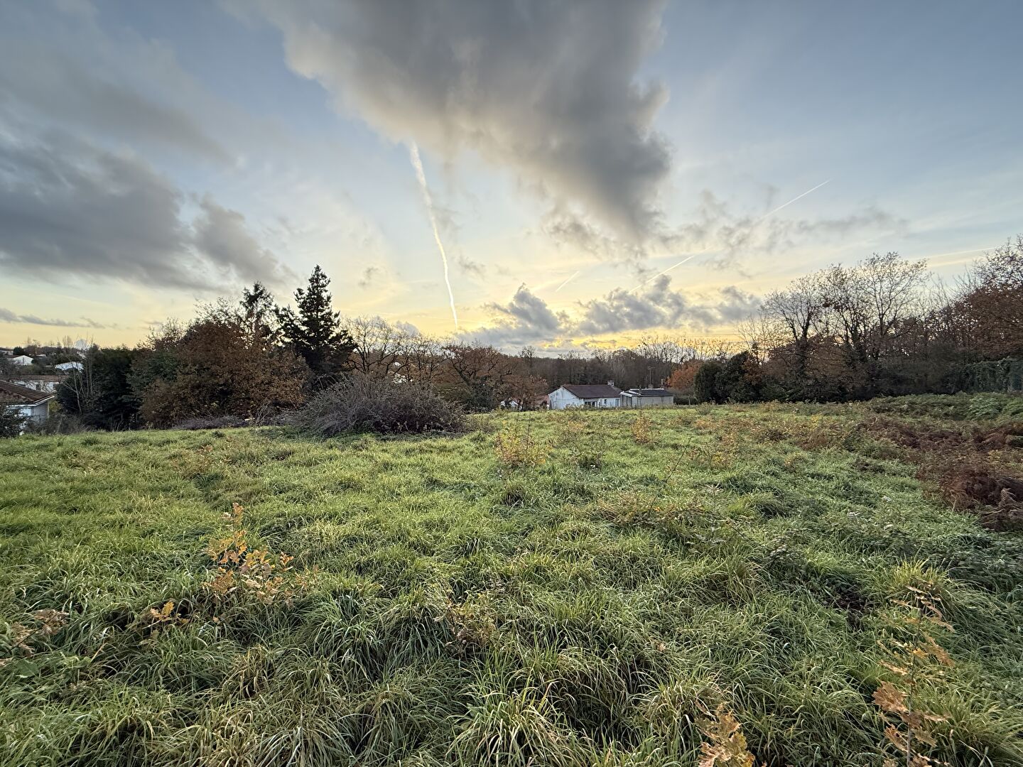 Terrain Coex 3165 m2 COEX 85220