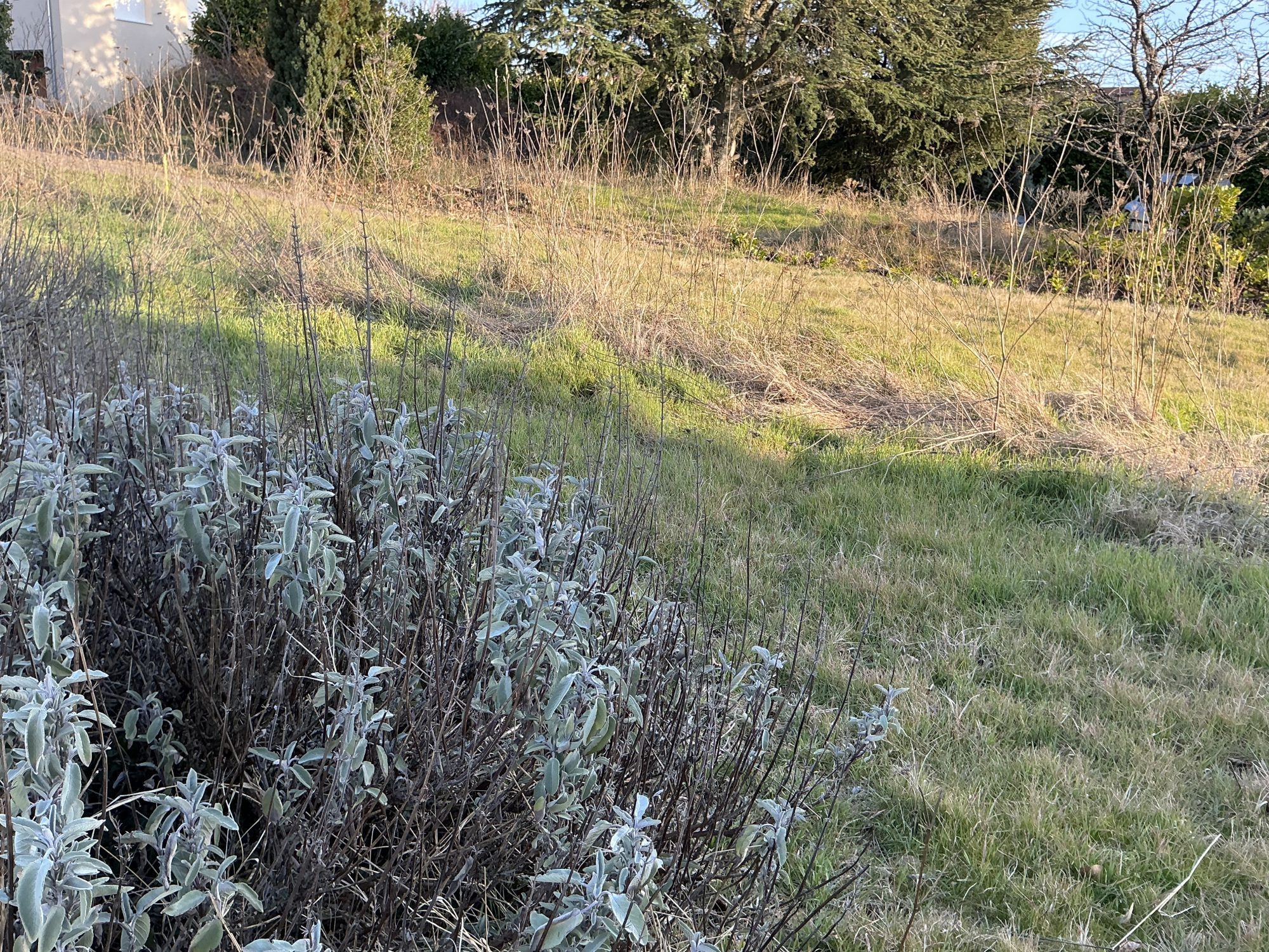 Terrain - 728 m² - Annonay (07100)