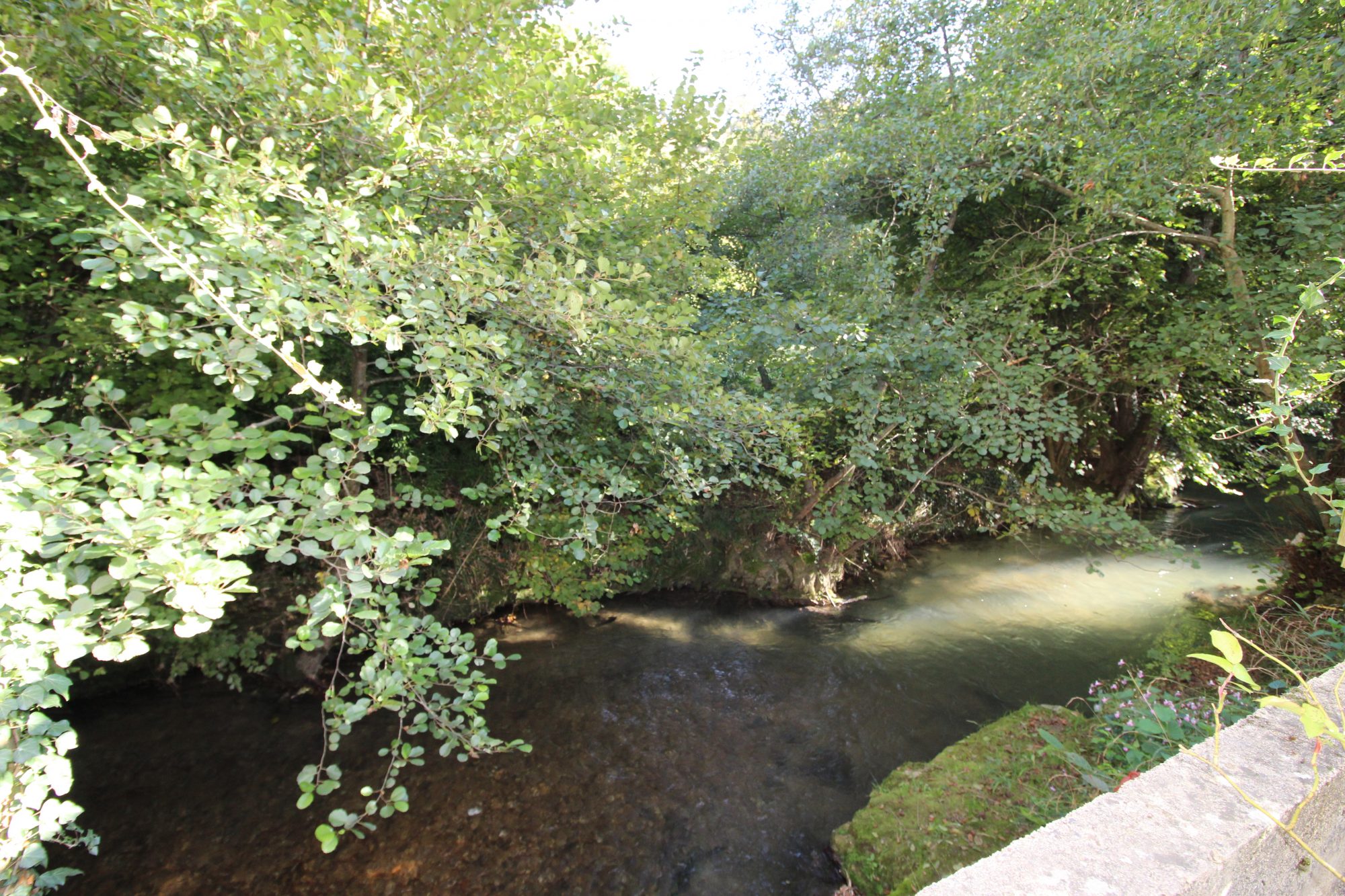 Maison charmante avec terrasse et vue dégagée sur la verdure Pont-Évêque 38780