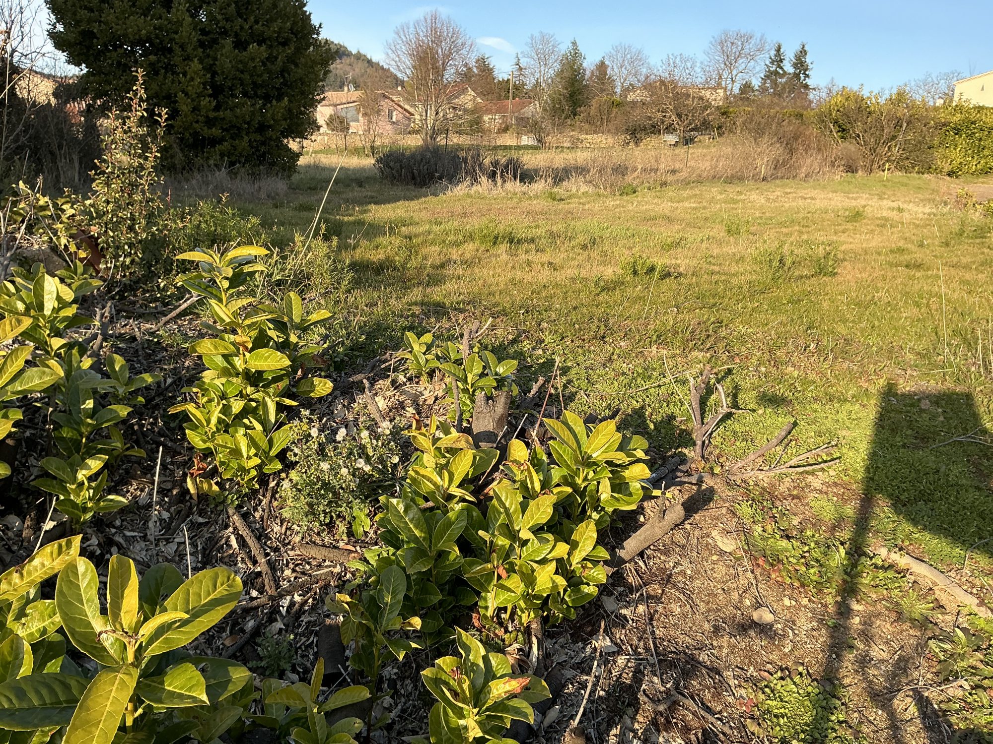Terrain - 728 m² - Annonay (07100)