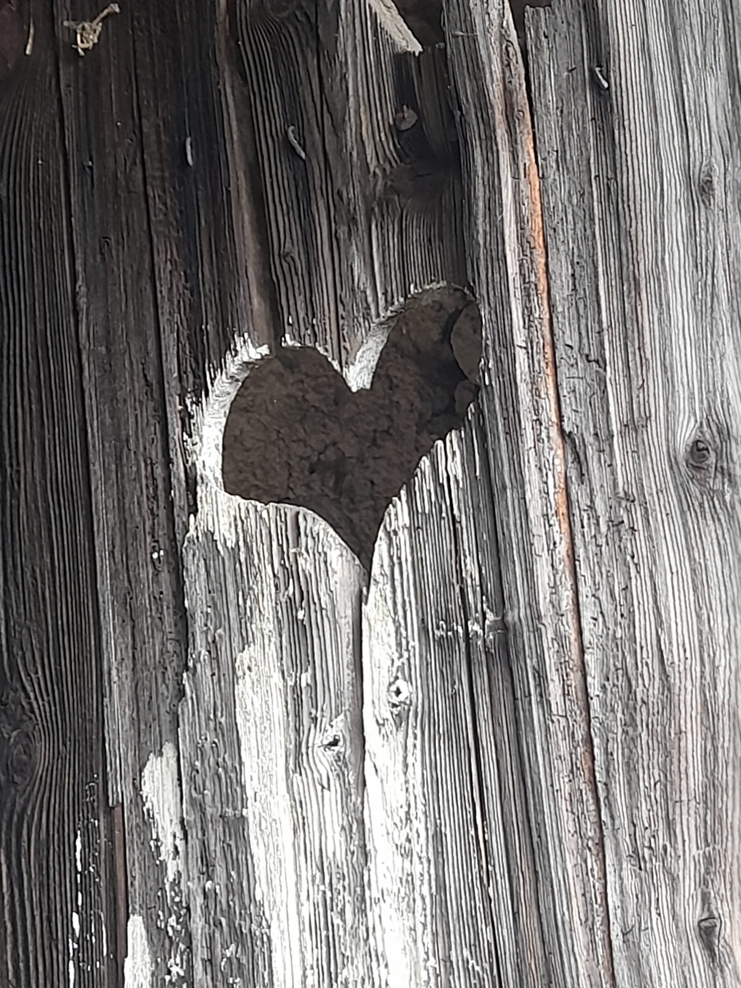 Maison - 2 pièces - 66 m² - Corent (63730)