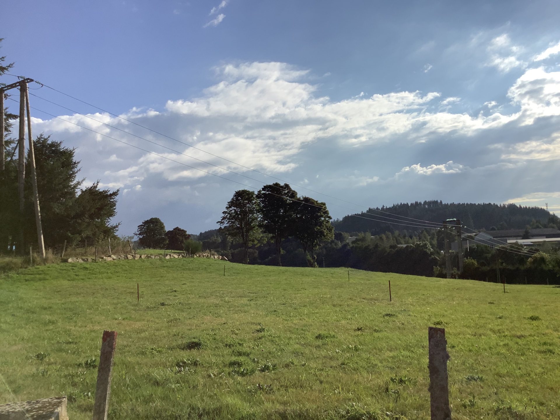 Terrain - 1500 m² - Tence (43190)