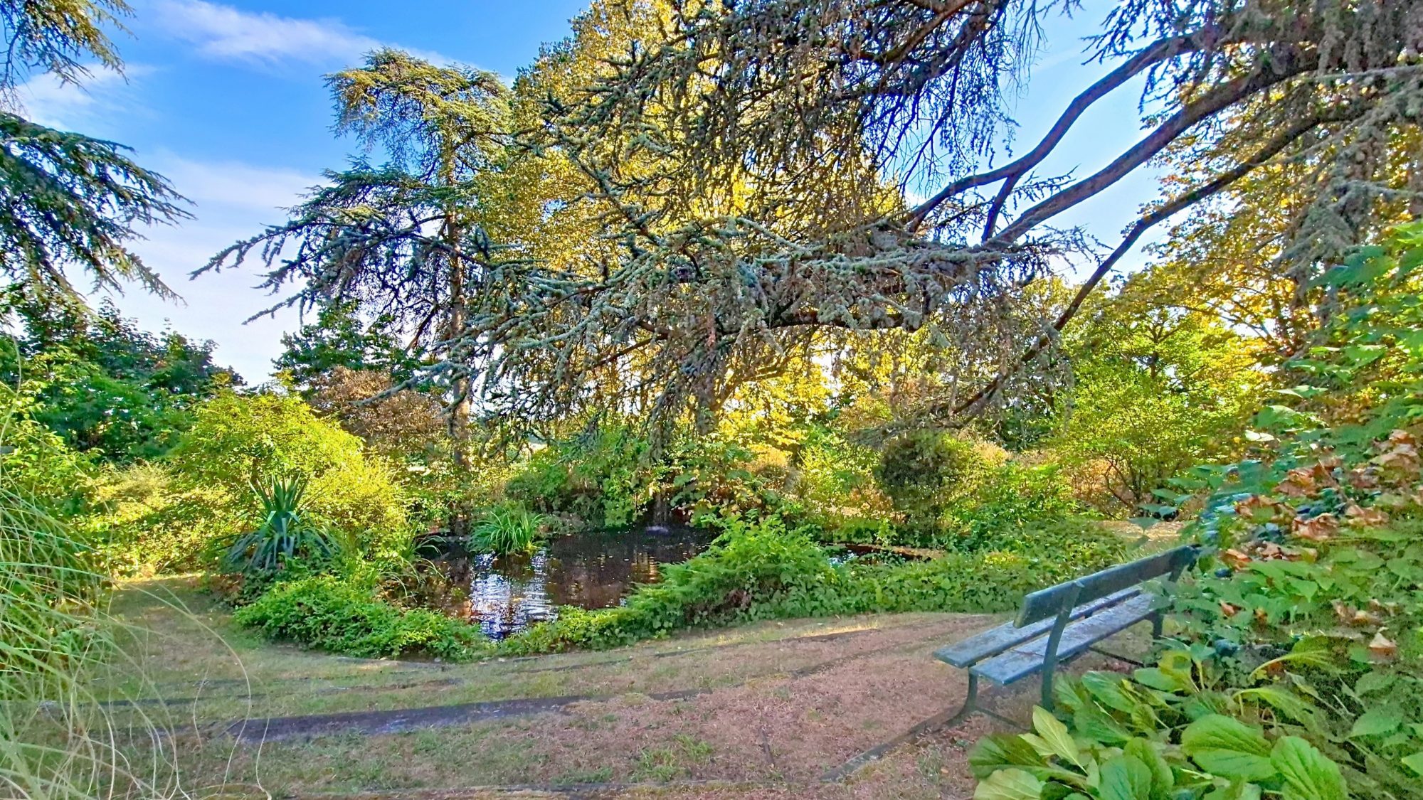 Cadre verdoyant – T4 Duplex 109m² - terrasse sans vis-à-vis Caluire-et-Cuire 69300