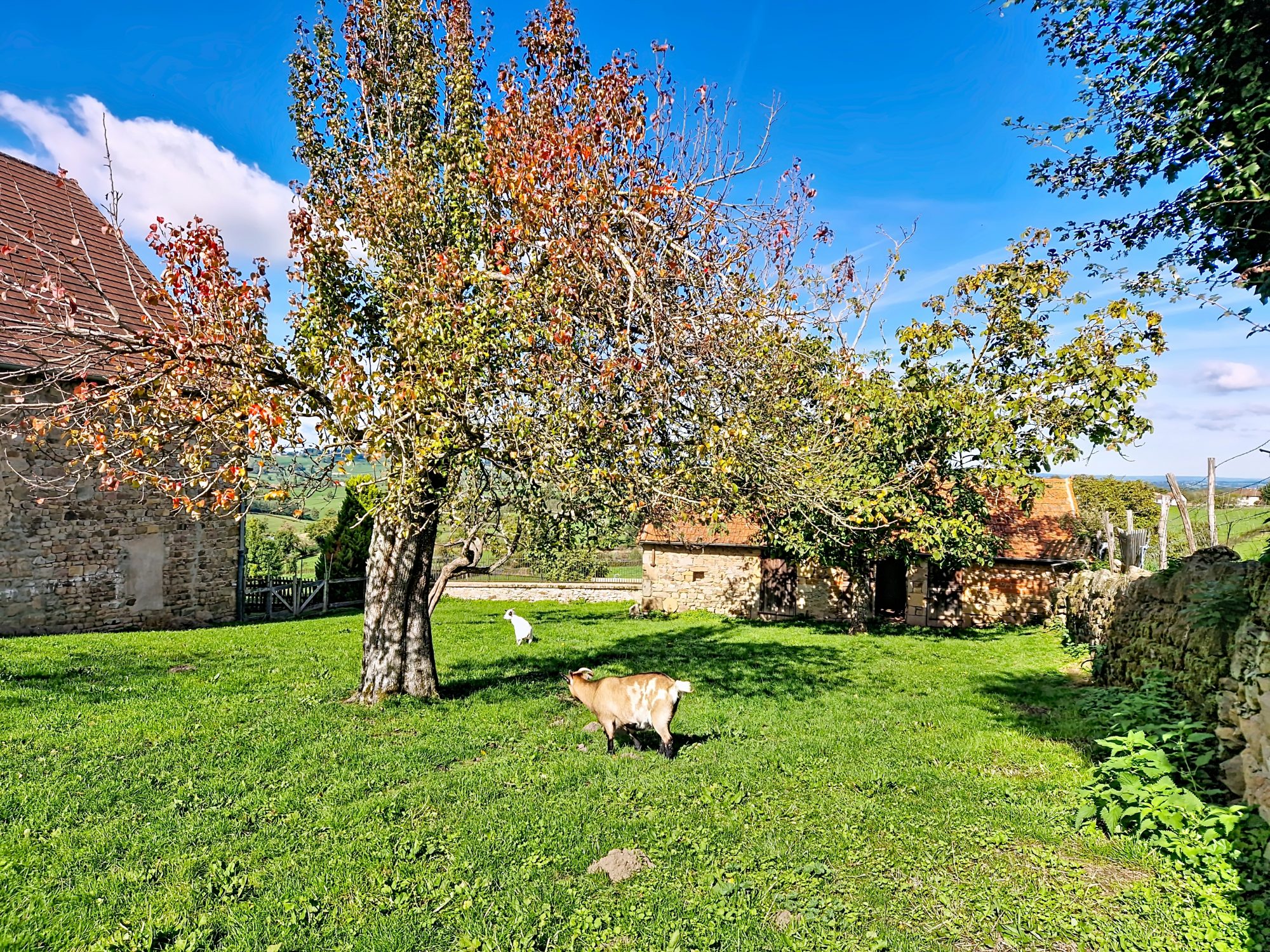 Authentique maison brionnaise  – volumes, charme et potentiel La Clayette 71800