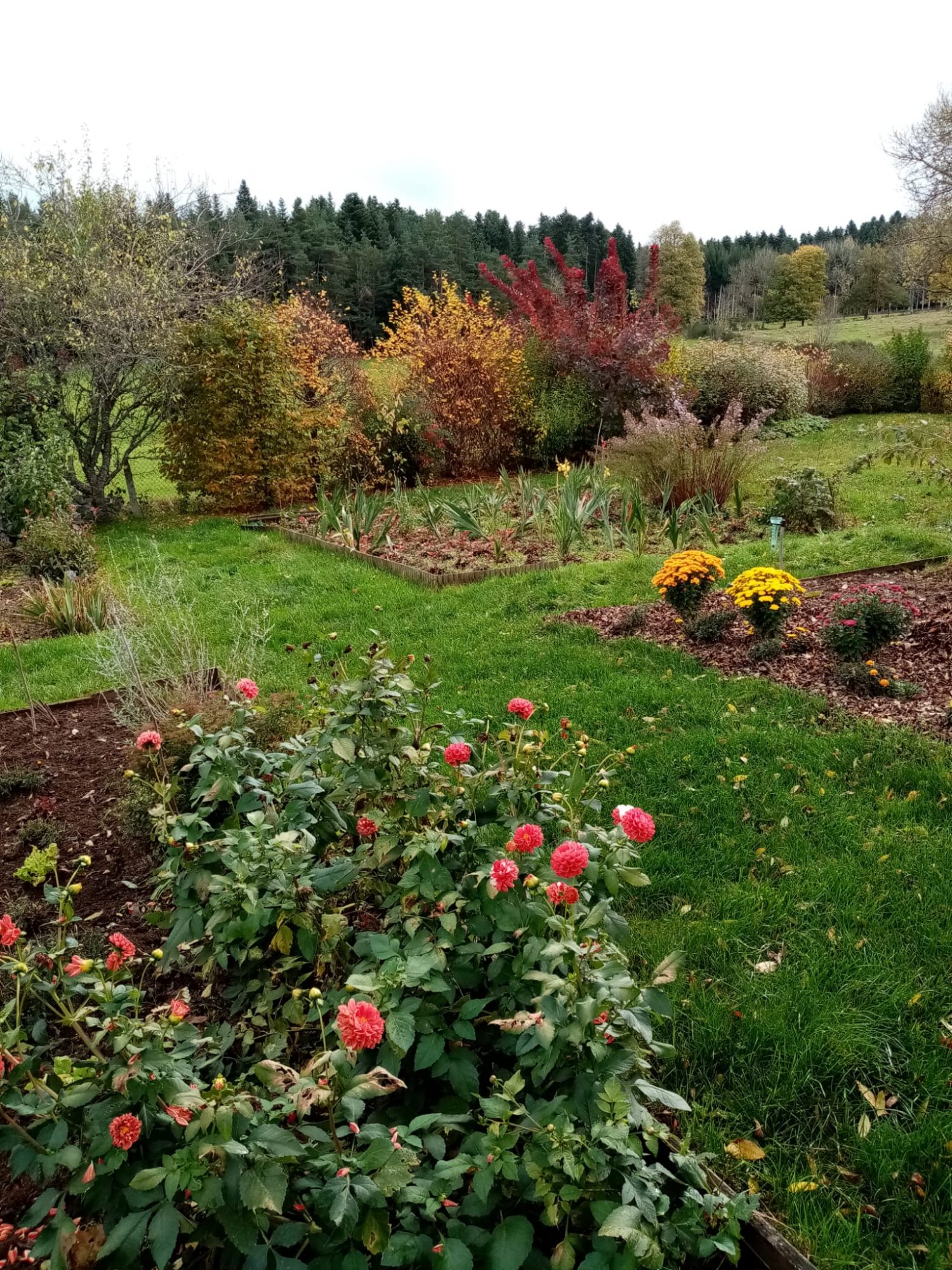 Bien d’exception loué en gîtes avec piscine intérieure Montregard 43290