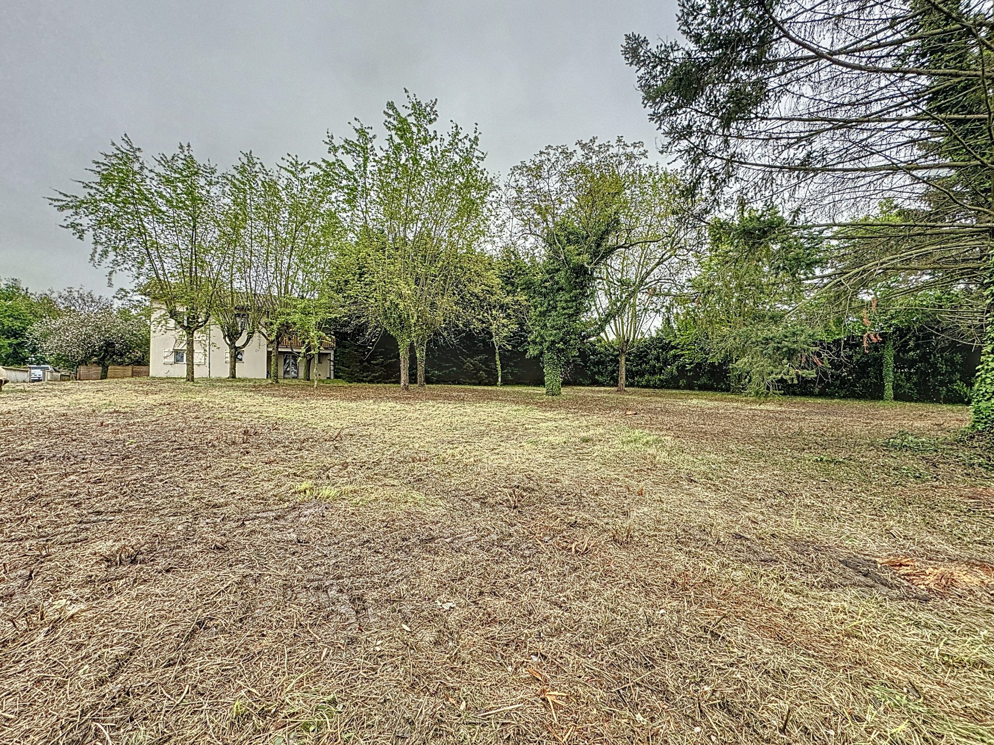 MAISON DE 140 M² AVEC PLUS DE 2300 M² DE TERRAIN Pont-de-Veyle 01290