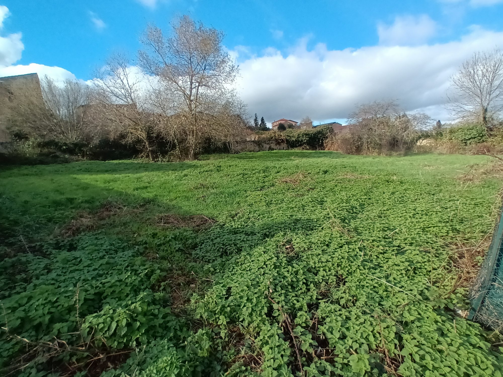 Terrain - 1000 m² - Lamontgie (63570)