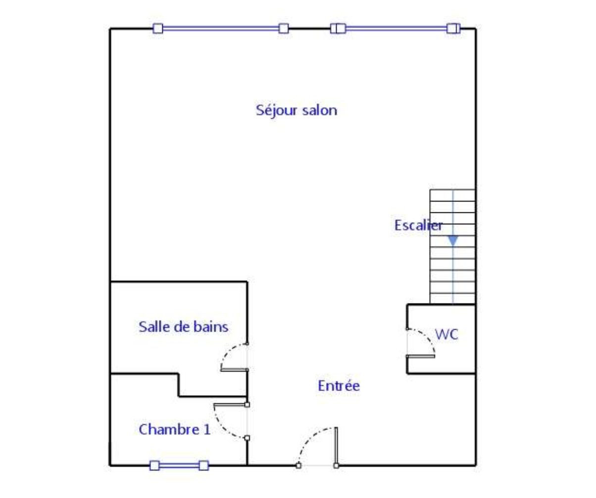 Lyon 6 - Appartement Duplex T5 95m2 carrez Climatisé Lyon 69006