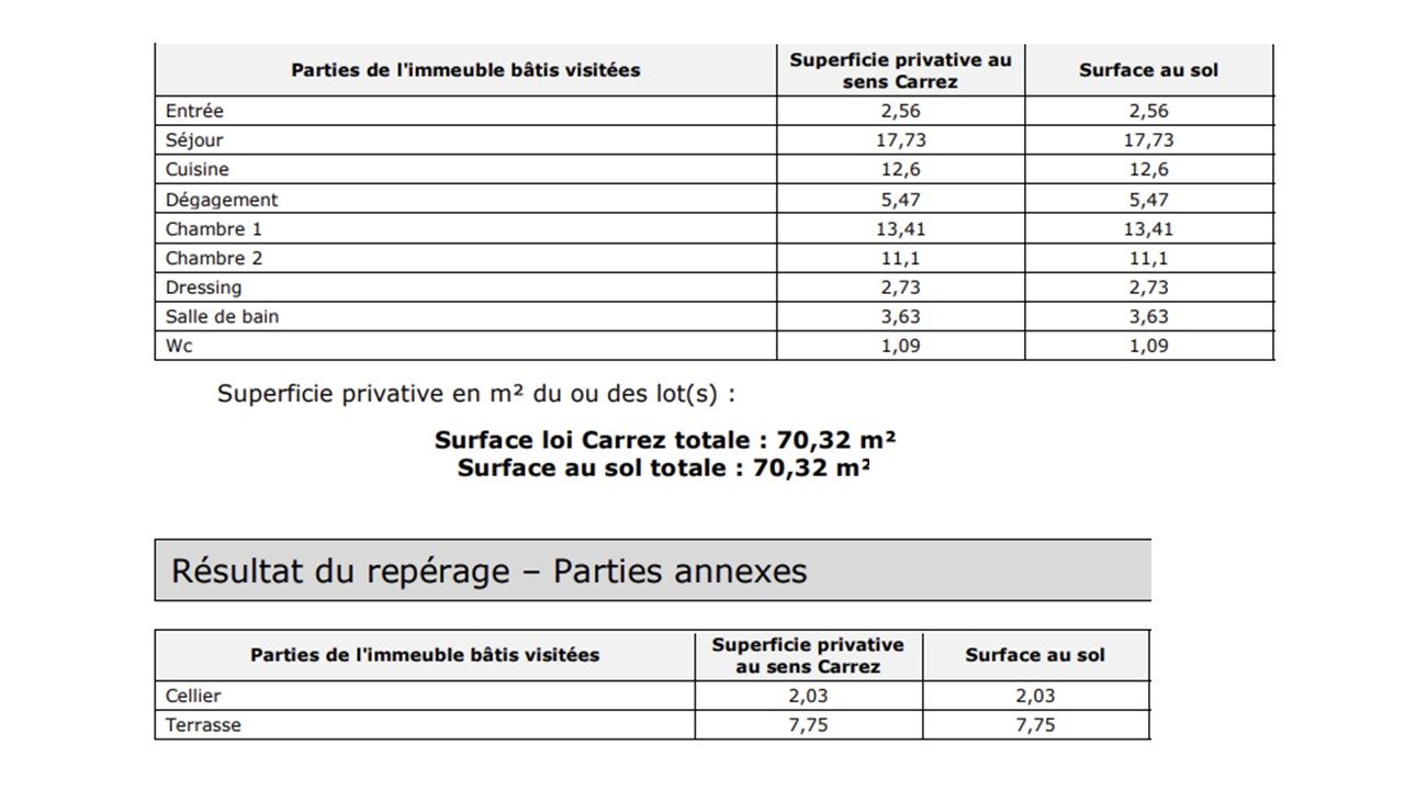 DOUA / TETE D'OR - Appartement T3 traversant de 75 m² avec terrasse Villeurbanne 69100