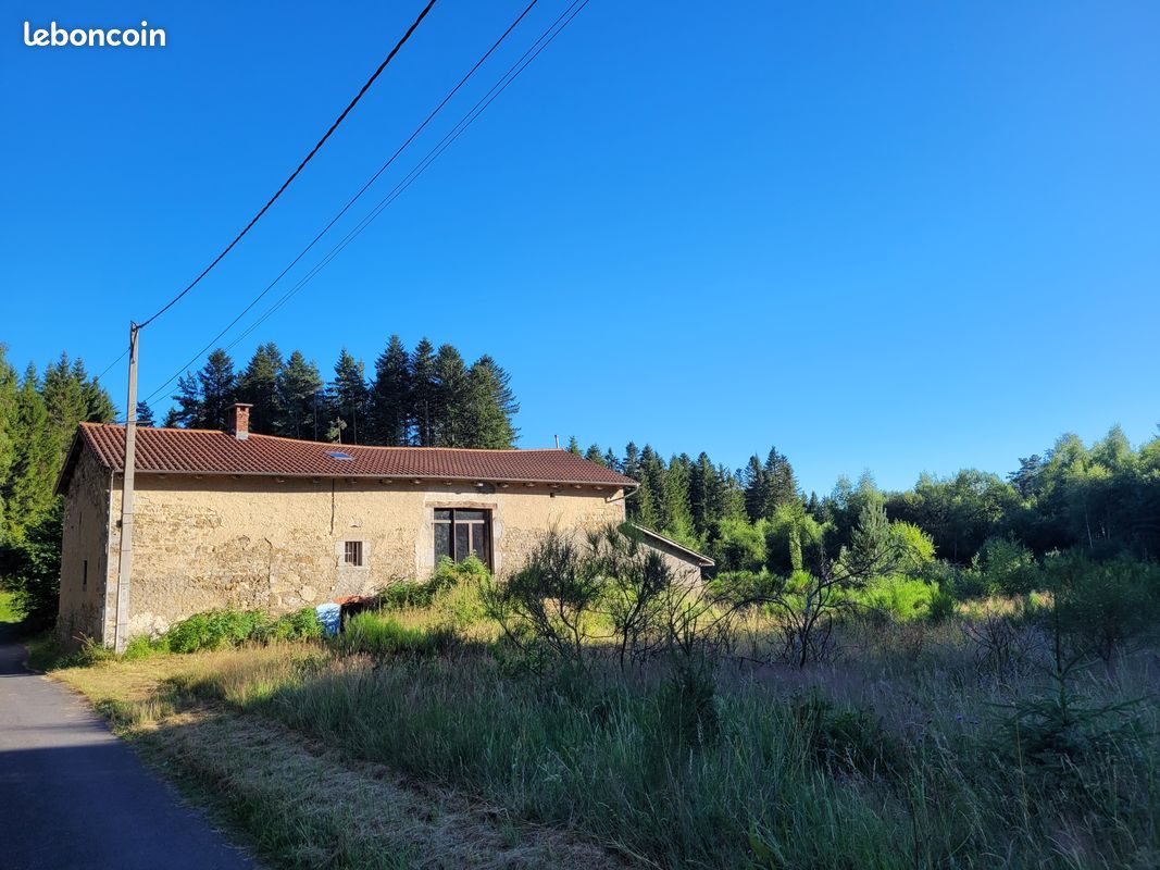 Maison - 7 pièces - 180 m² - Fournols (63980)