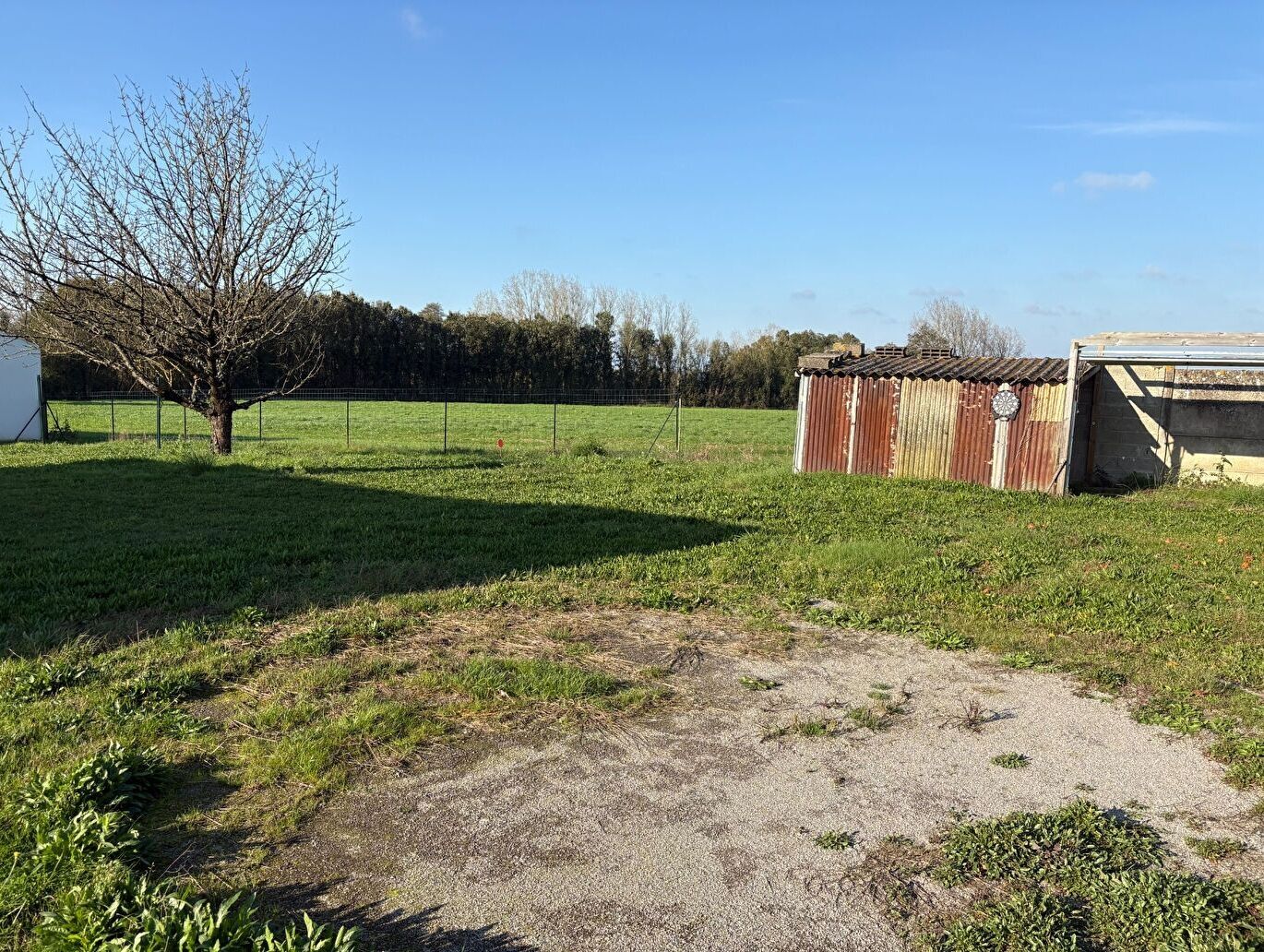 Terrain Le Fenouiller 500 m2 LE FENOUILLER 85800