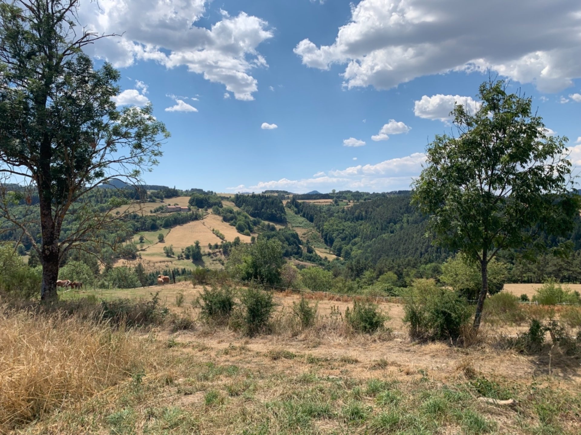 EXCLUSIVITÉ GTI IMMOBILIER ! Terrain à bâtir avec belle vue.