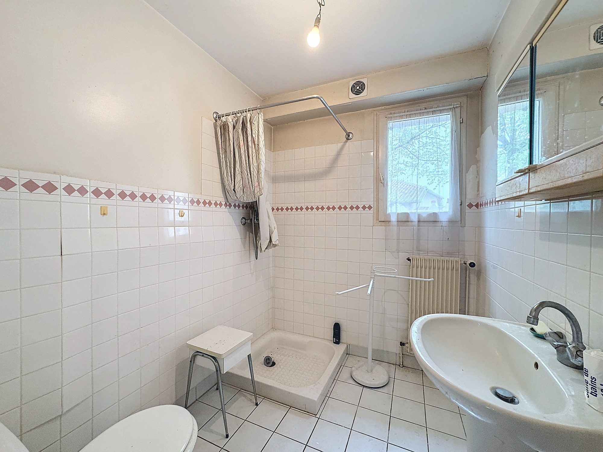 MAISON DE 140 M² AVEC PLUS DE 2300 M² DE TERRAIN Pont-de-Veyle 01290