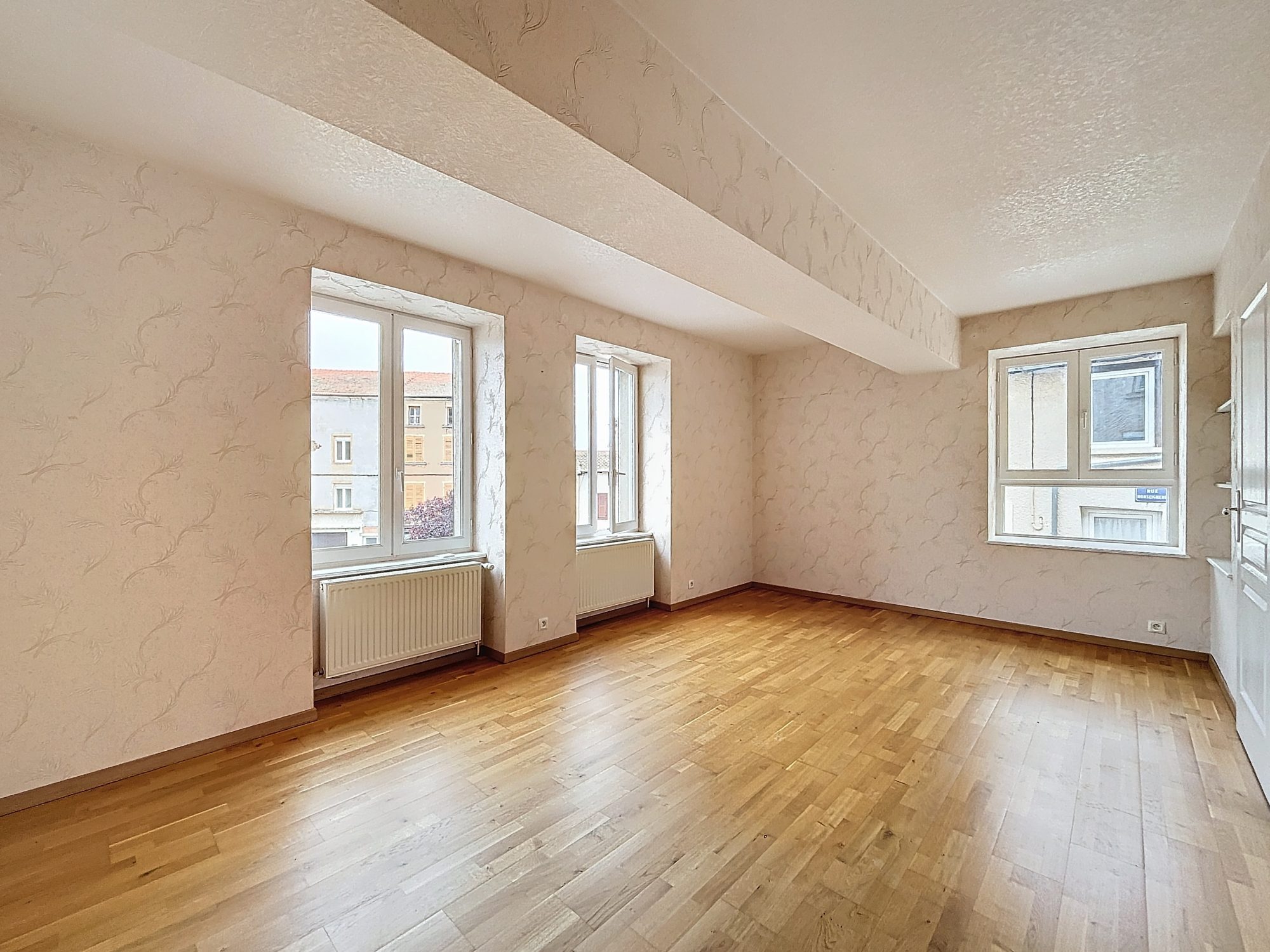 Spacieuse maison de village avec jardin Roanne 42300