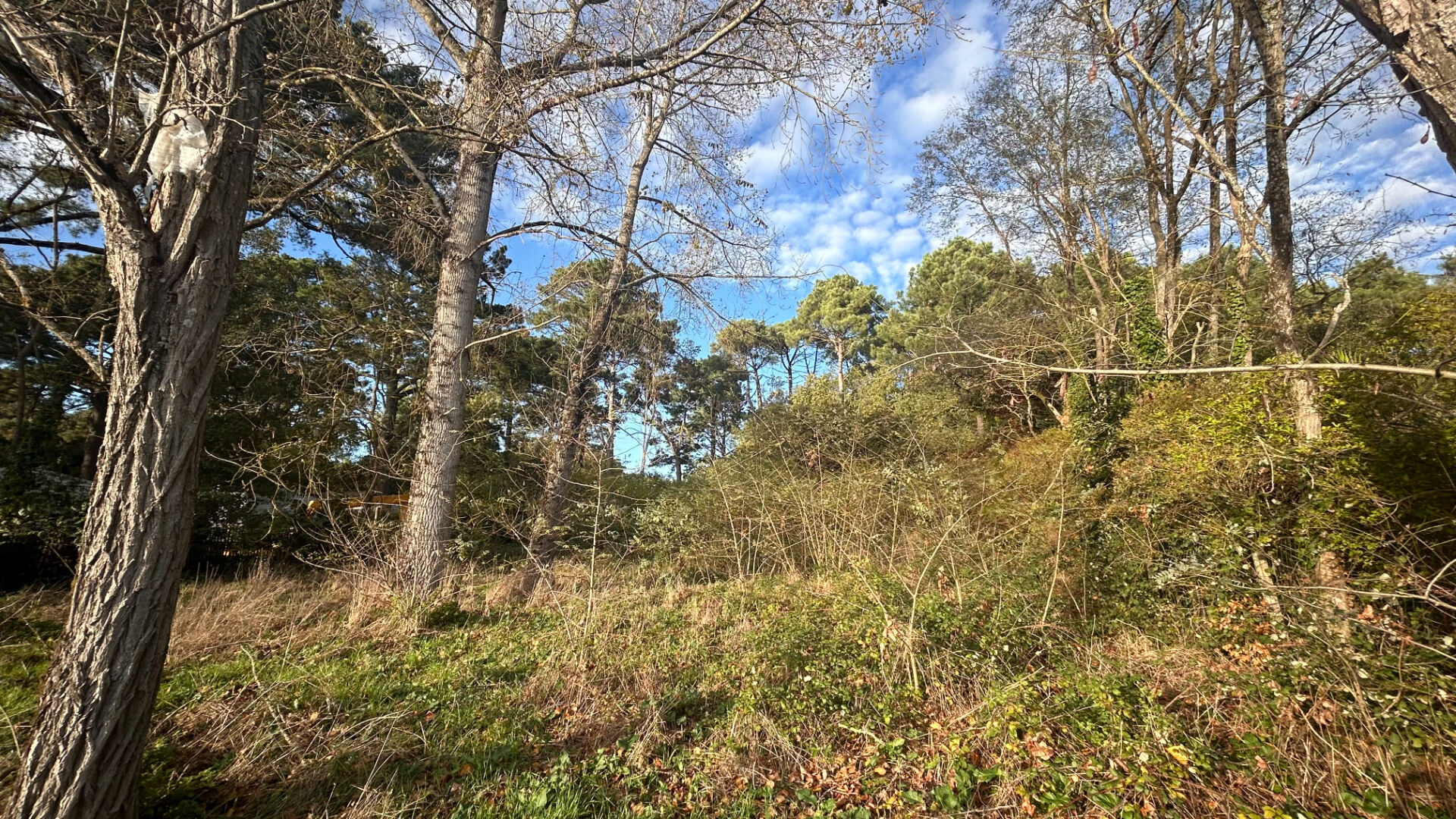 Terrain Saint Hilaire de Riez 3463m2 SAINT HILAIRE DE RIEZ 85270