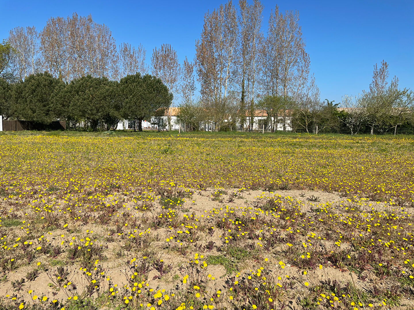 Terrain Saint Jean De Monts 879 m2 SAINT JEAN DE MONTS 85160