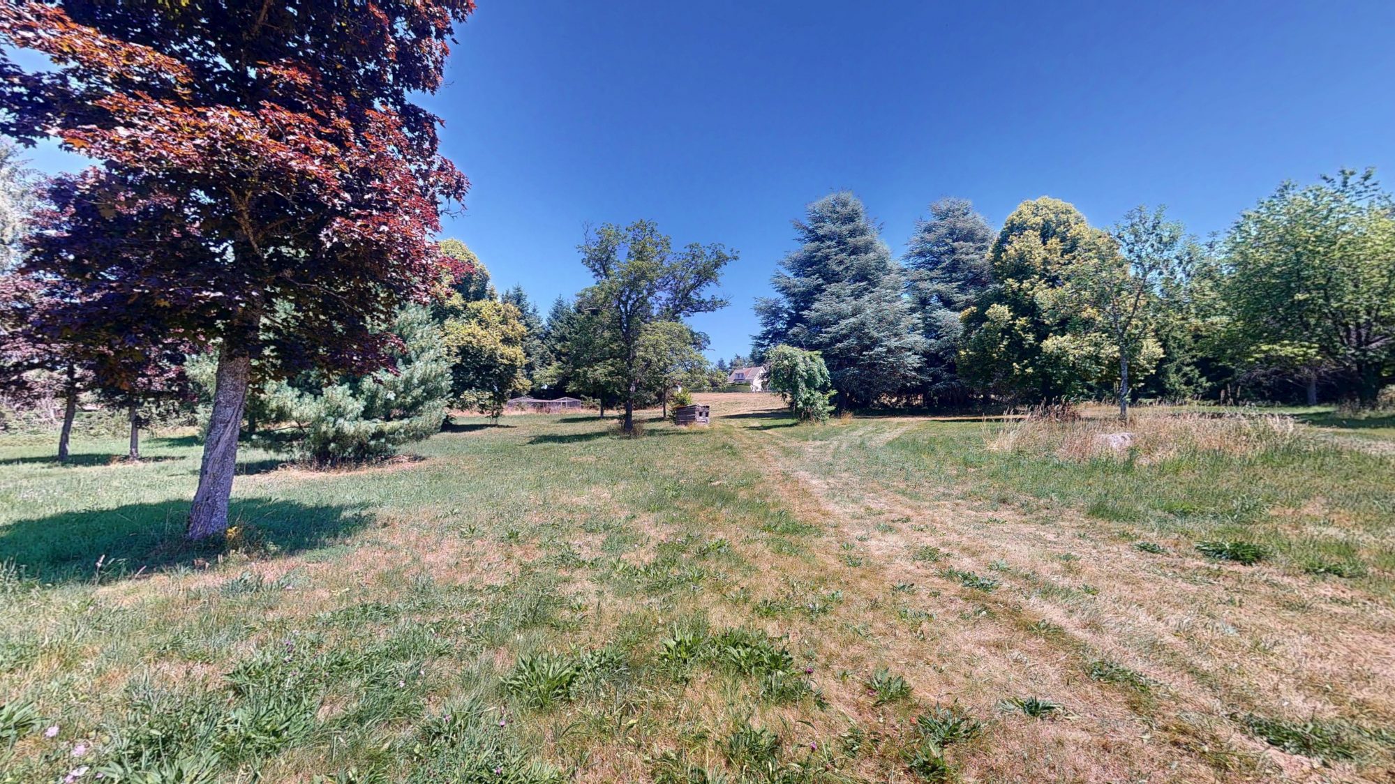 Ferme à rénover sur 1 hectares 5 de terrain constructible Usson-en-Forez 42550