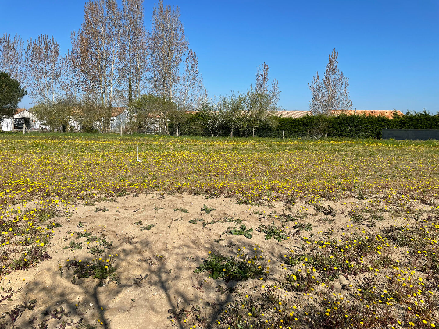 Terrain Saint Jean De Monts 805 m2 SAINT JEAN DE MONTS 85160