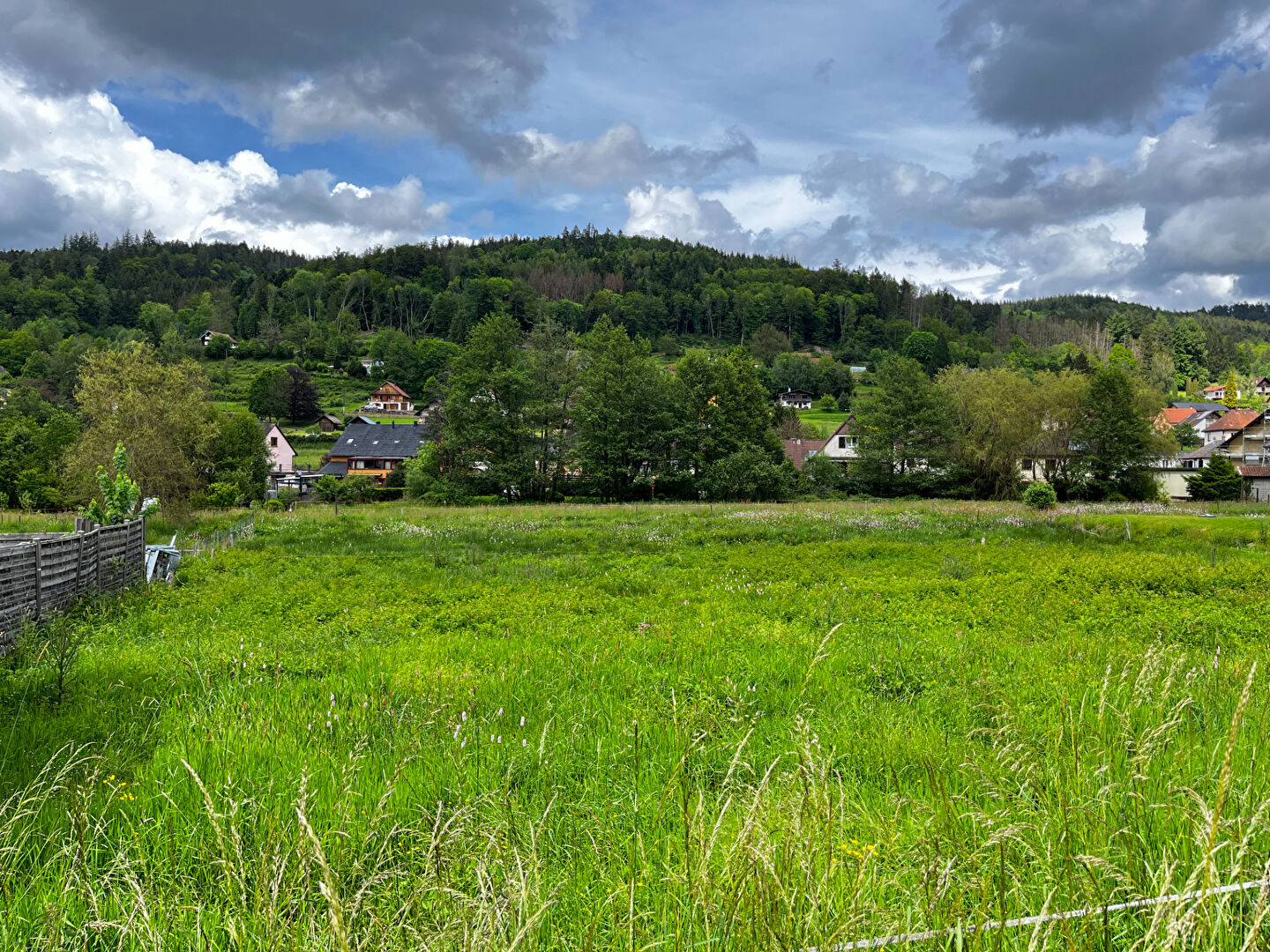 COLROY-LA-ROCHE - Terrain constructible - 26 ares