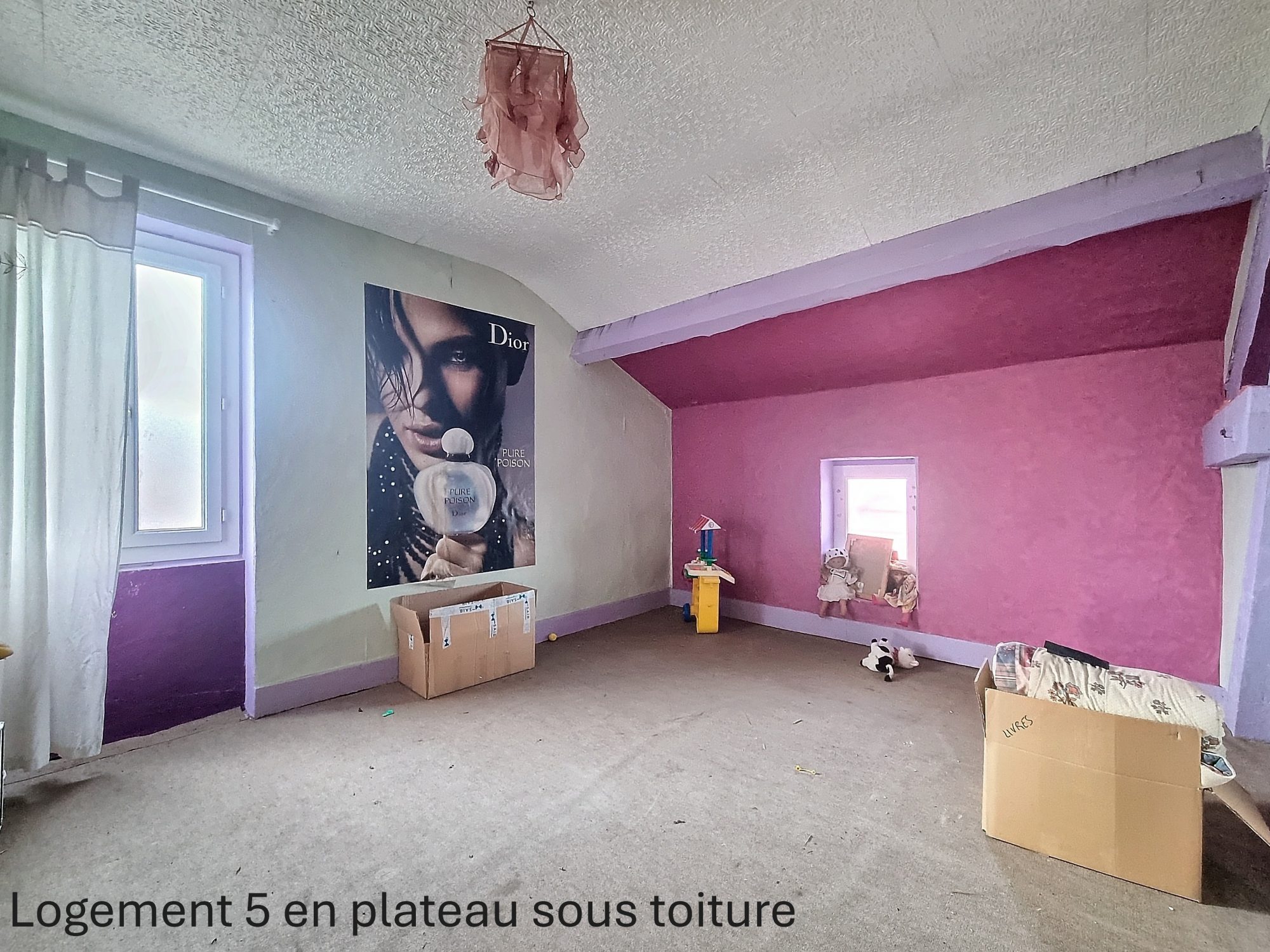 tènement de 5 logements Fraisses 42490