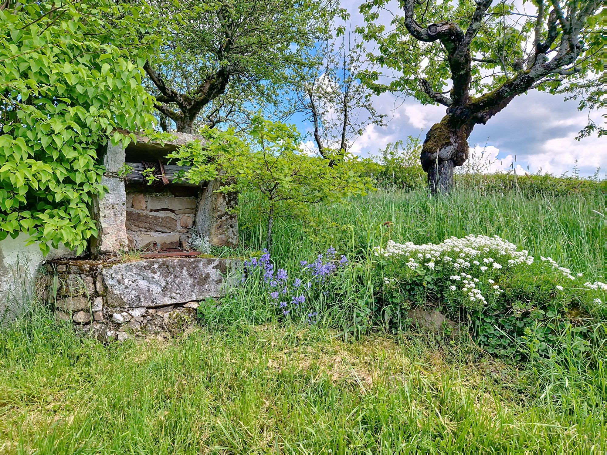 Maison en pierre – 4 chambres – 148 m² habitables – à réinventer selon vos envies Colombier-en-Brionnais 71800