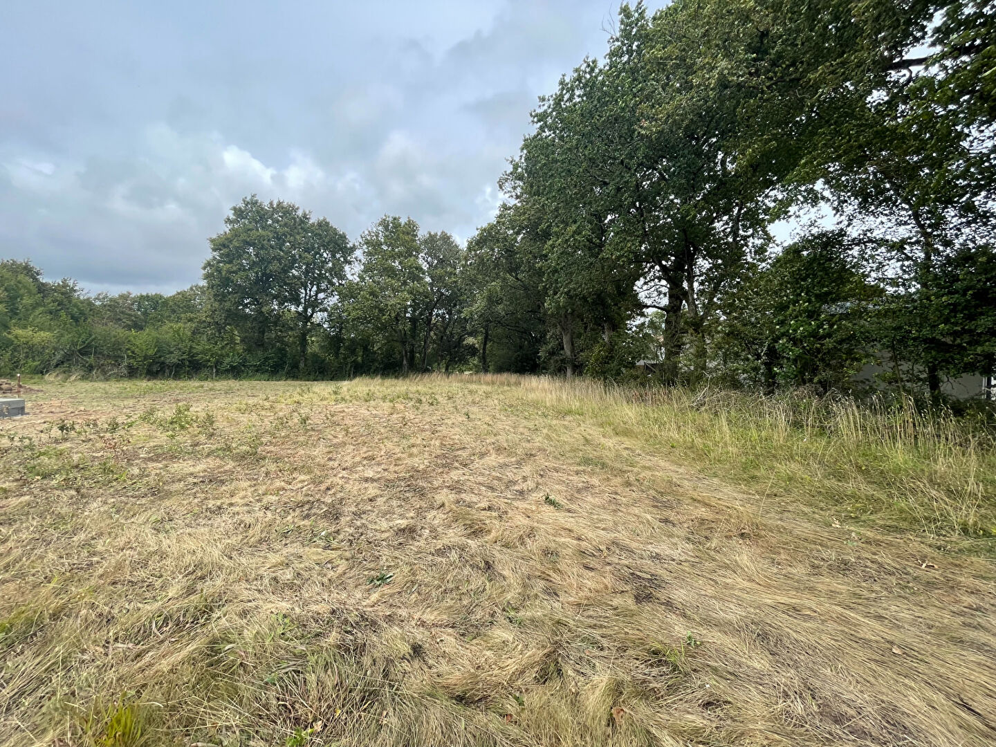 Terrain Saint Maixent Sur Vie 1333 m2 SAINT MAIXENT SUR VIE 85220