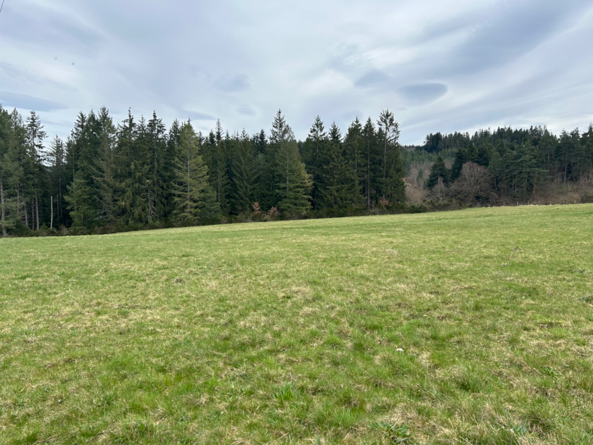 Grande parcelle de terrain à construire !